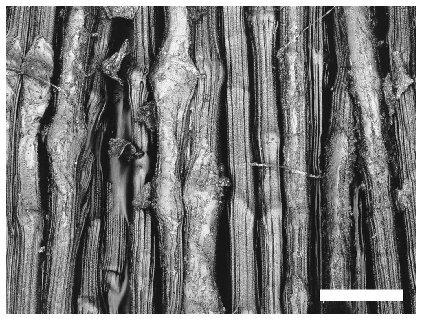 Molecules 21 01127 g001