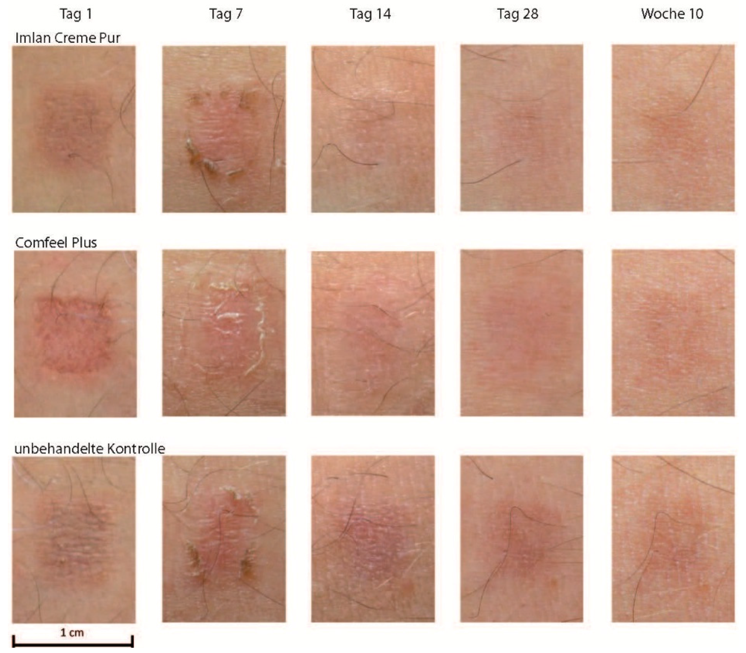 Molecules 21 01129 g001