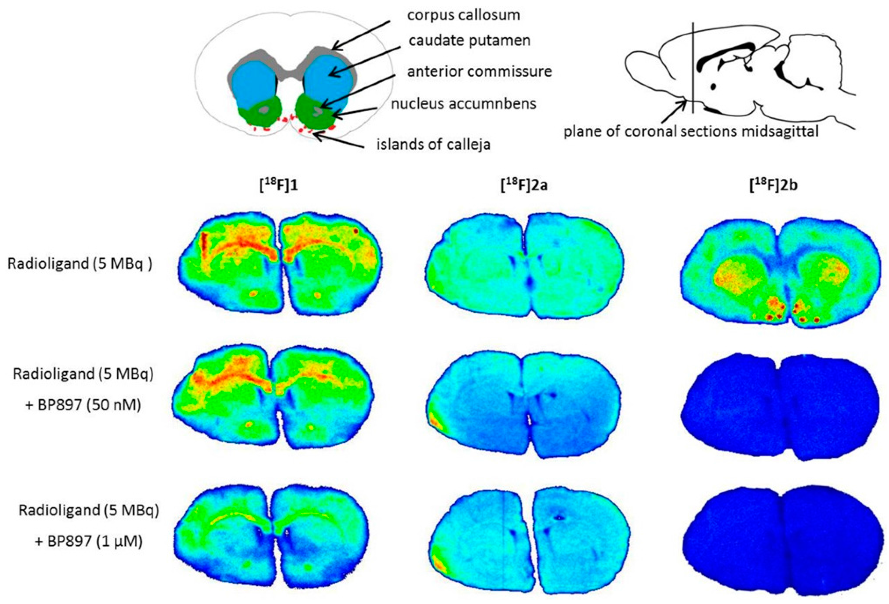 Molecules 21 01144 g005