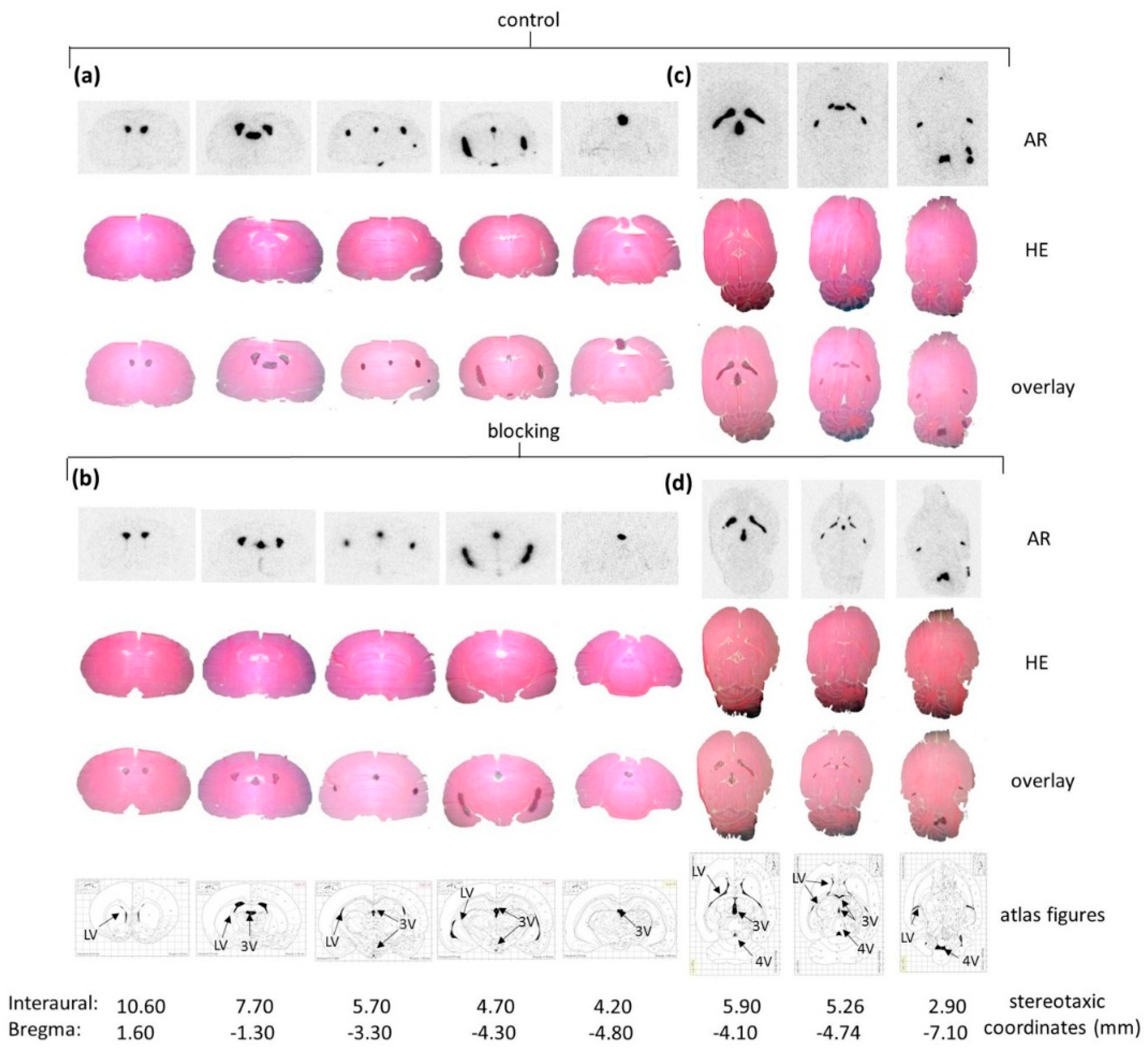 Molecules 21 01144 g014