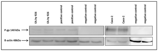 Molecules 21 01144 g016 550