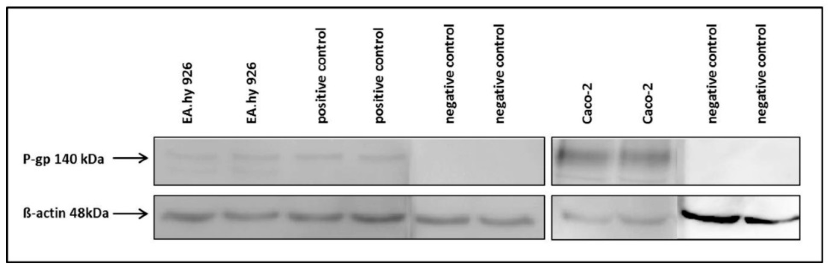 Molecules 21 01144 g016