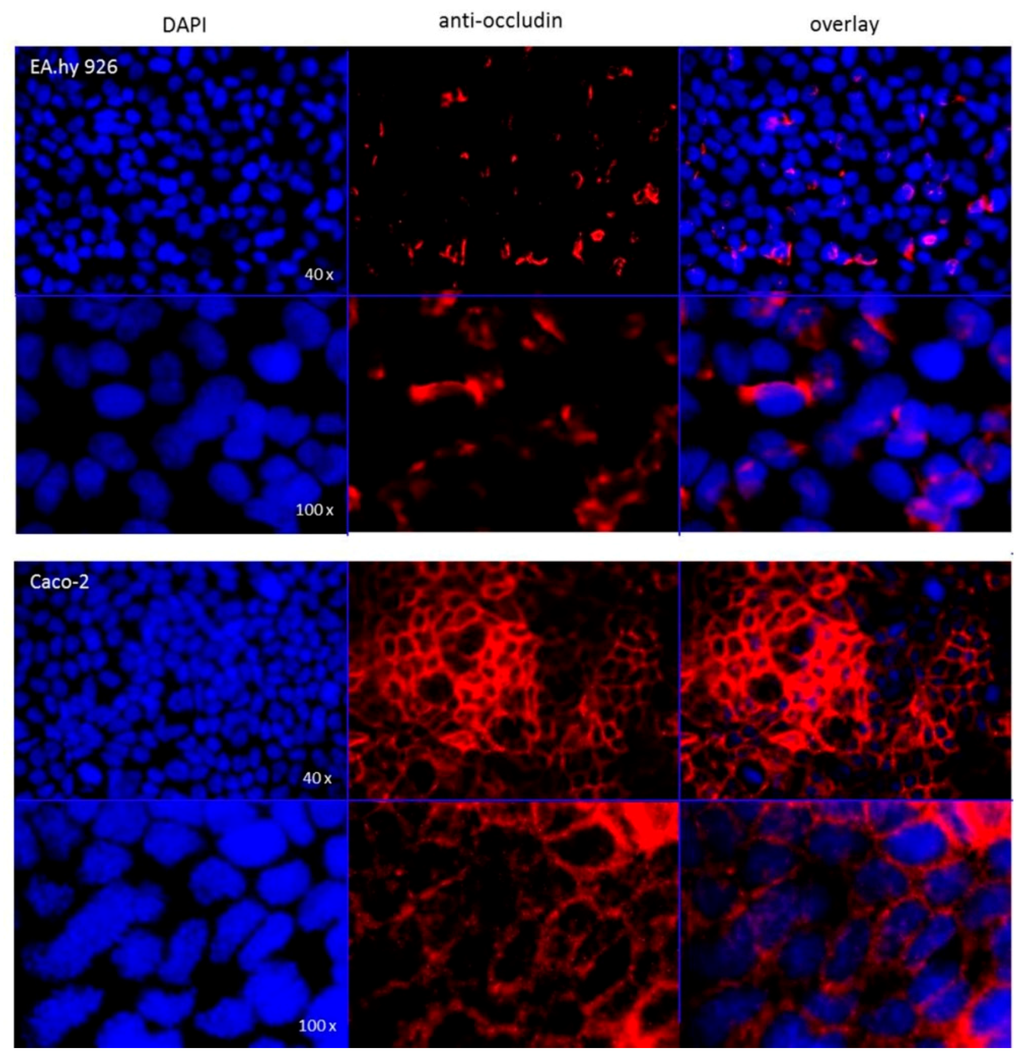 Molecules 21 01144 g018