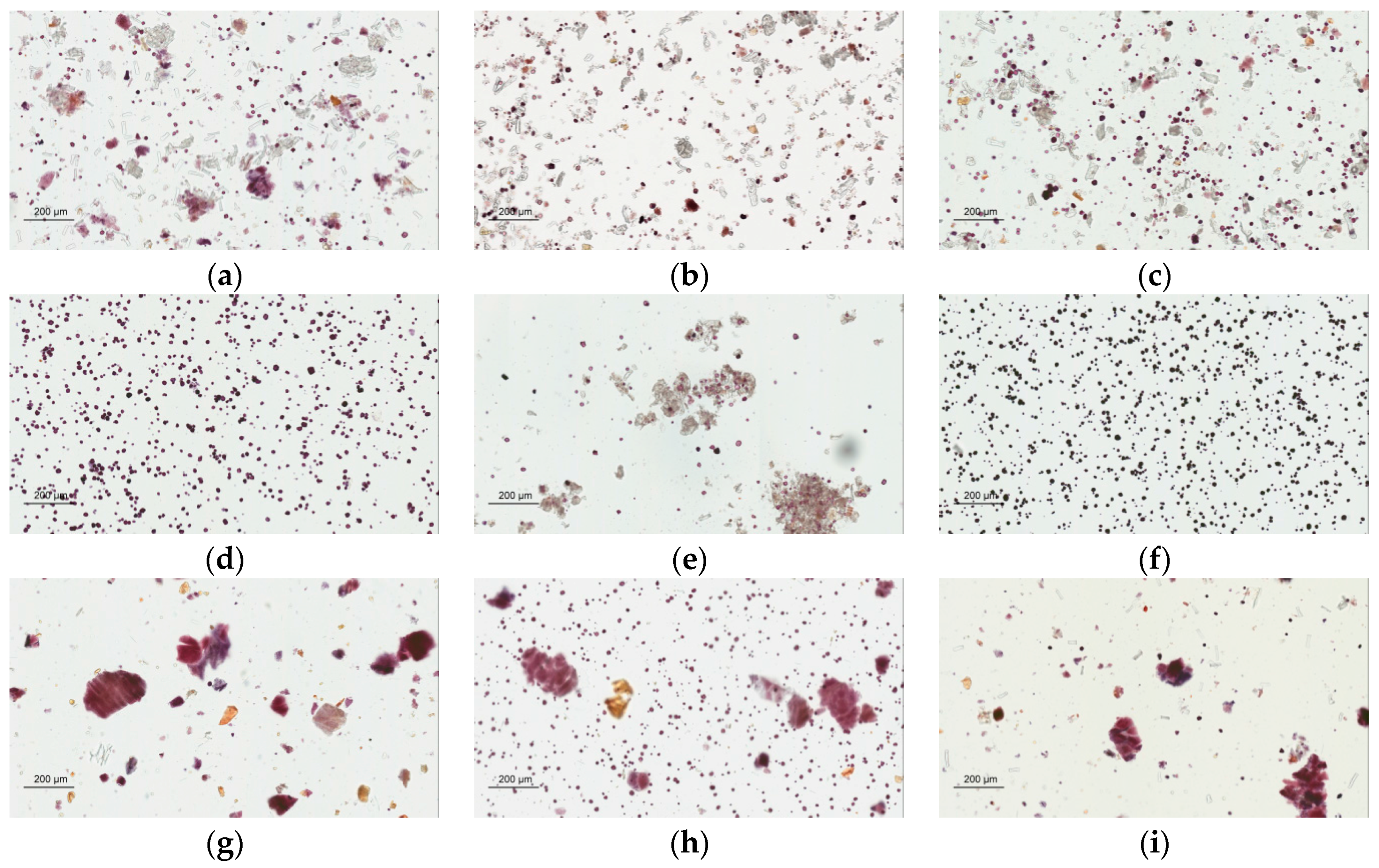 Molecules 21 01159 g005
