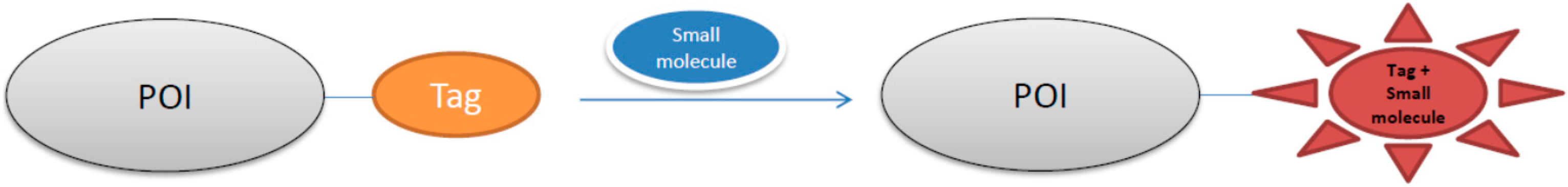 Molecules 21 01163 g001
