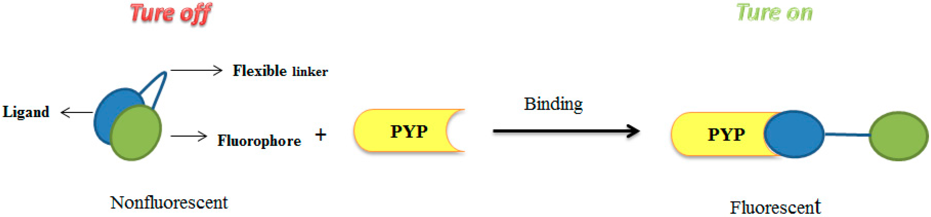 Molecules 21 01163 g003