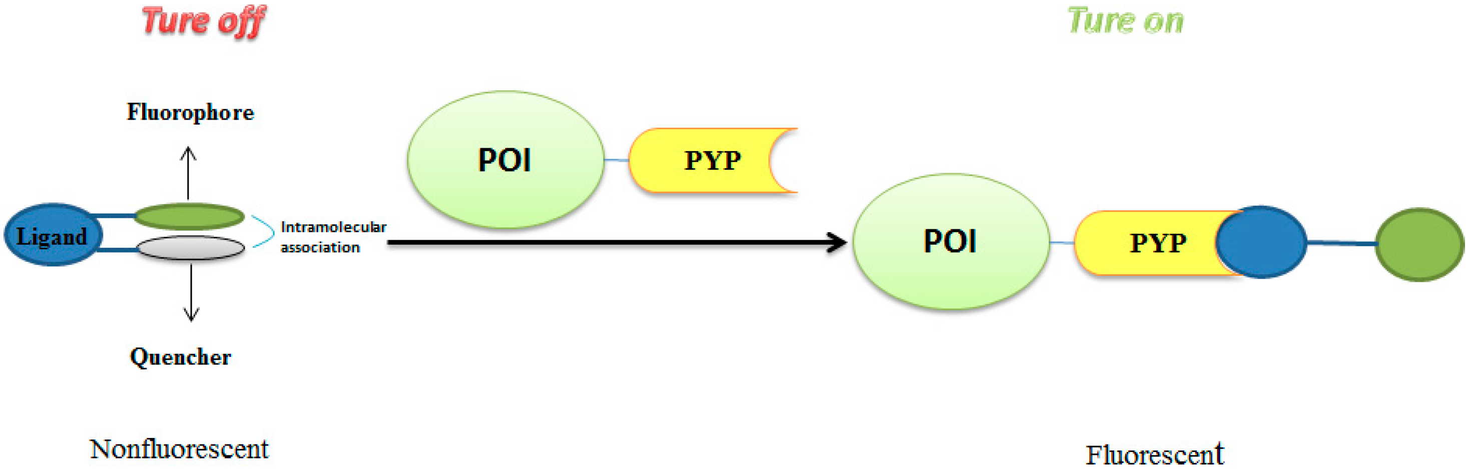 Molecules 21 01163 g004