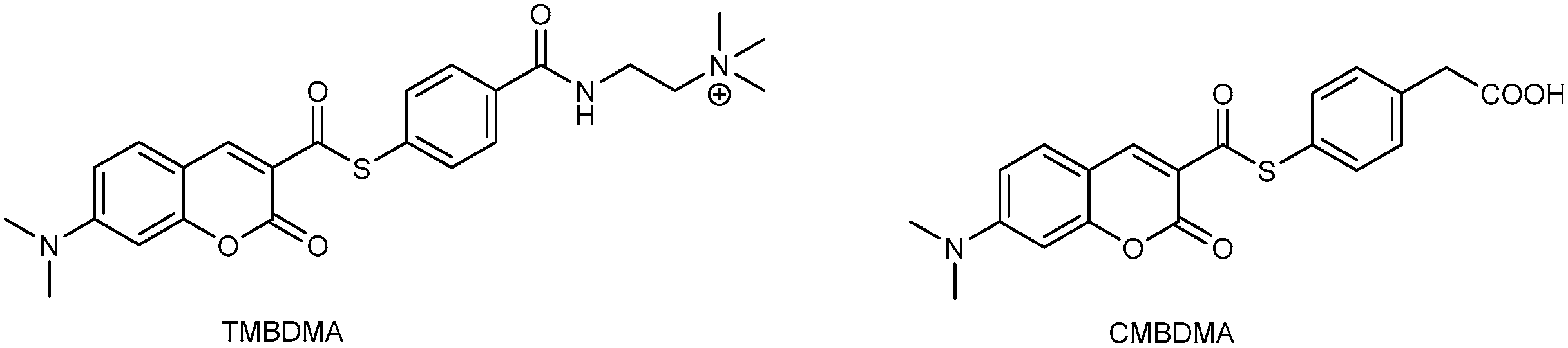 Molecules 21 01163 g007