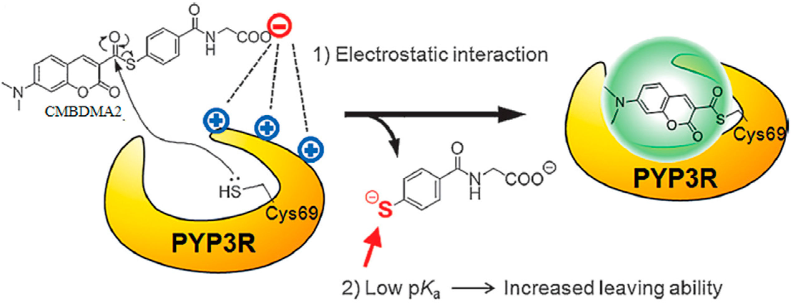 Molecules 21 01163 g008