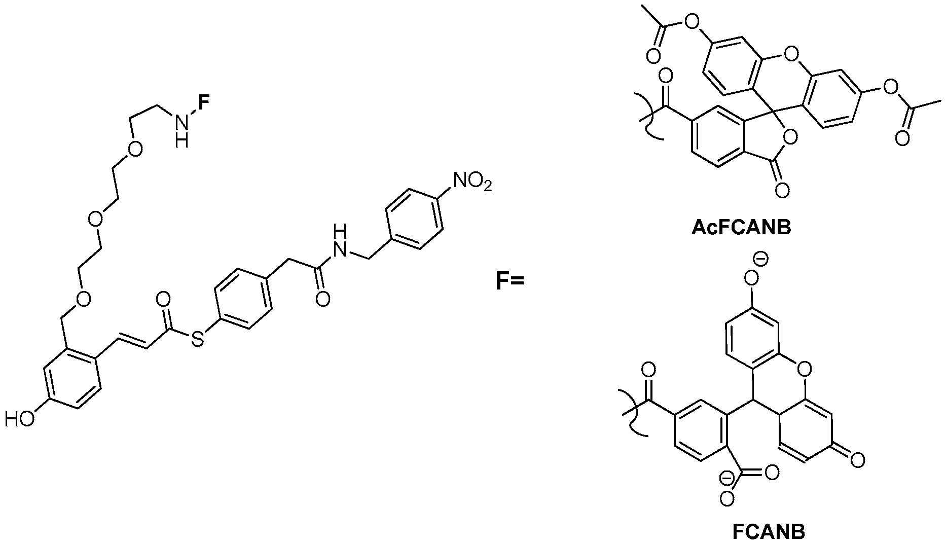 Molecules 21 01163 g009