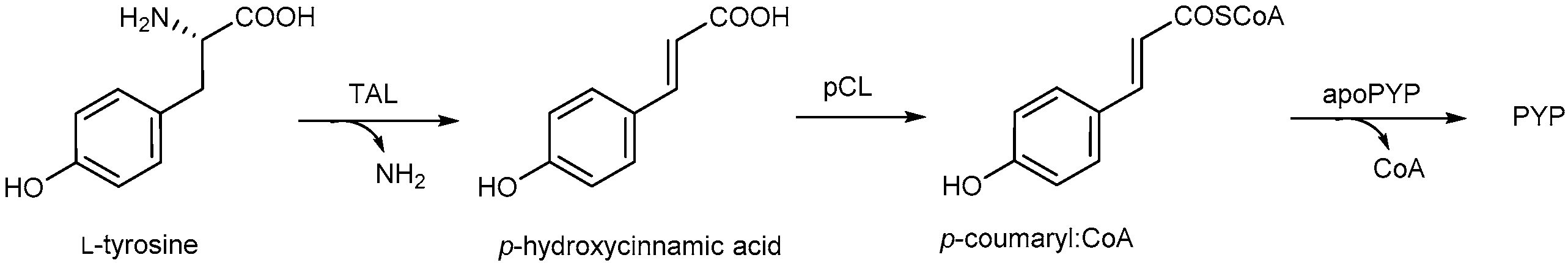 Molecules 21 01163 sch001