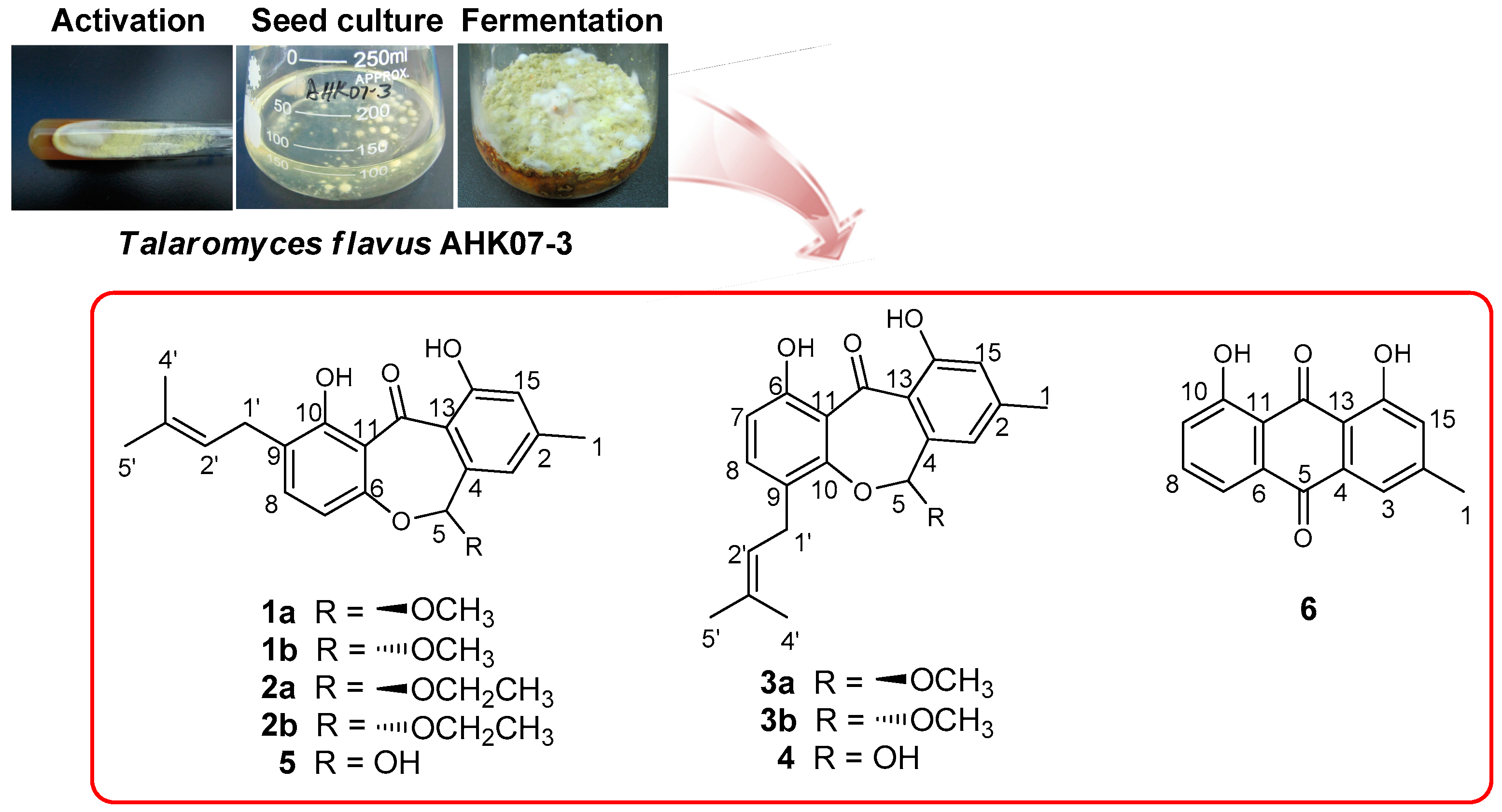 Molecules 21 01184 g001
