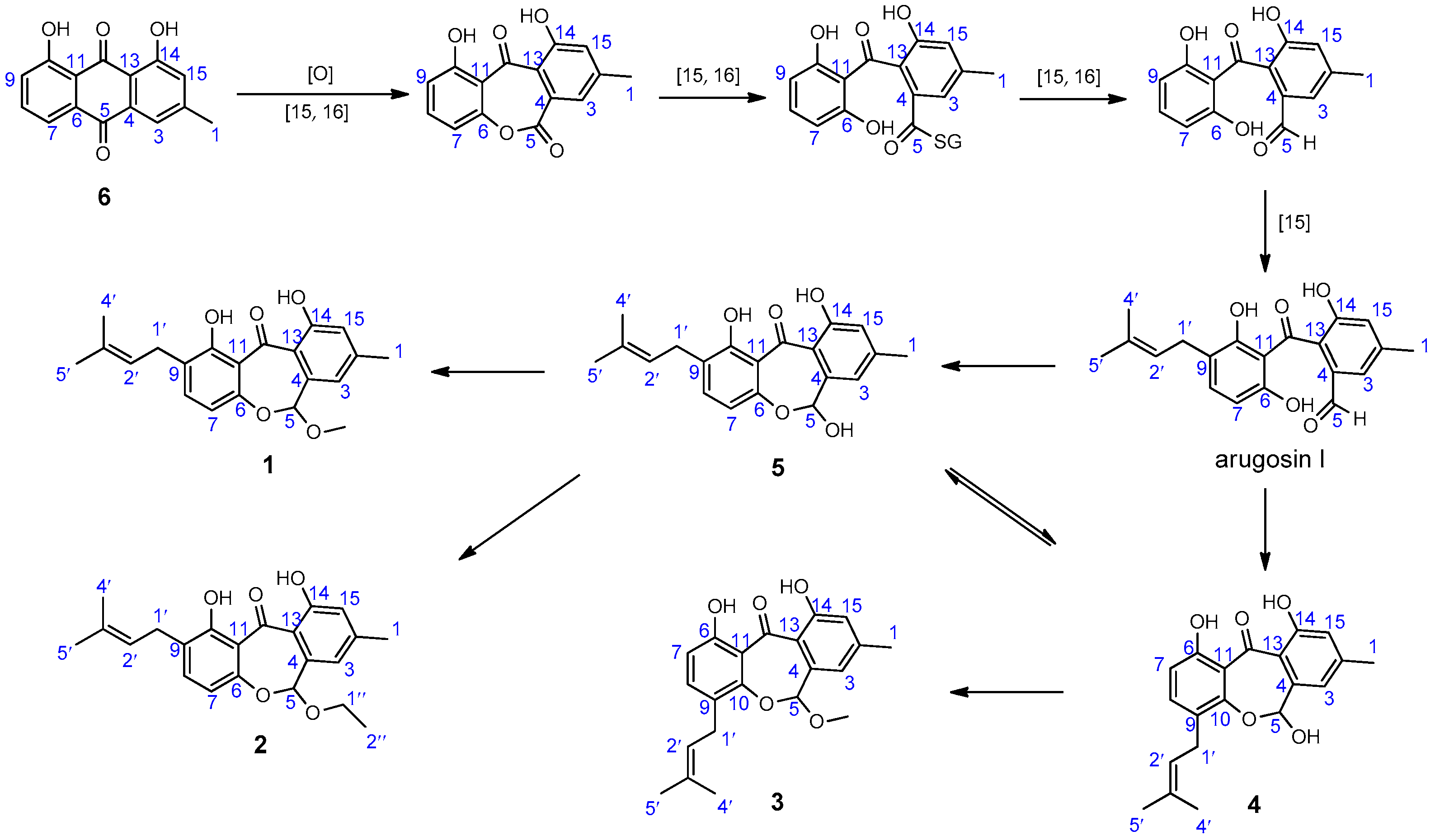 Molecules 21 01184 sch001