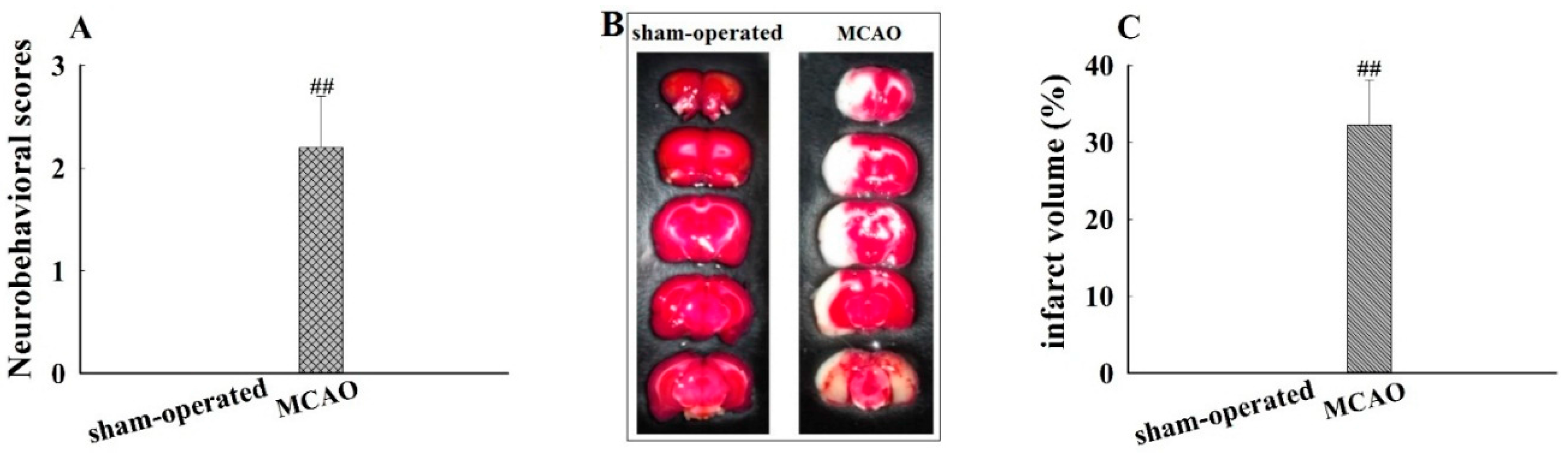 Molecules 21 01191 g002