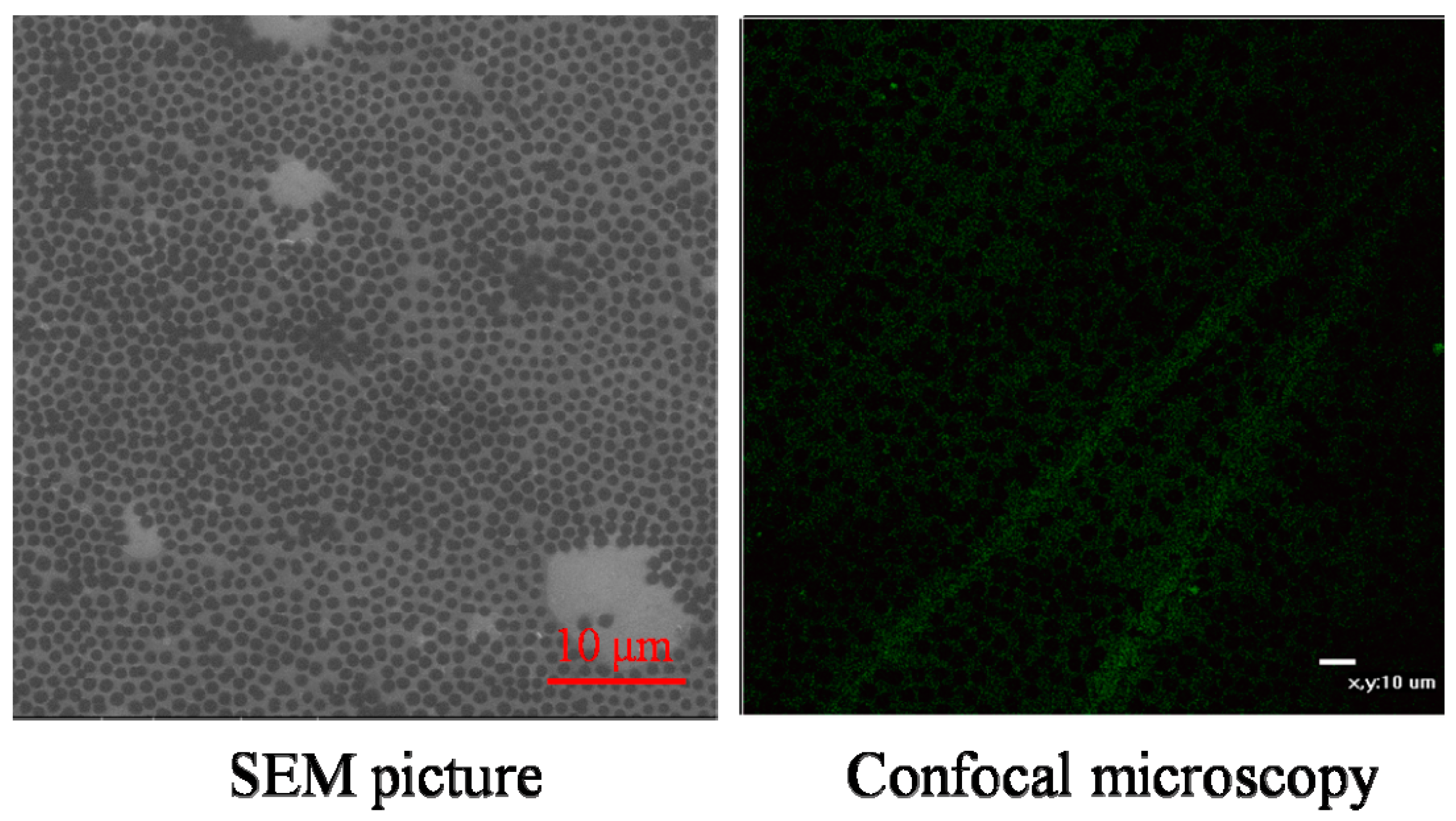 Molecules 21 01192 g001