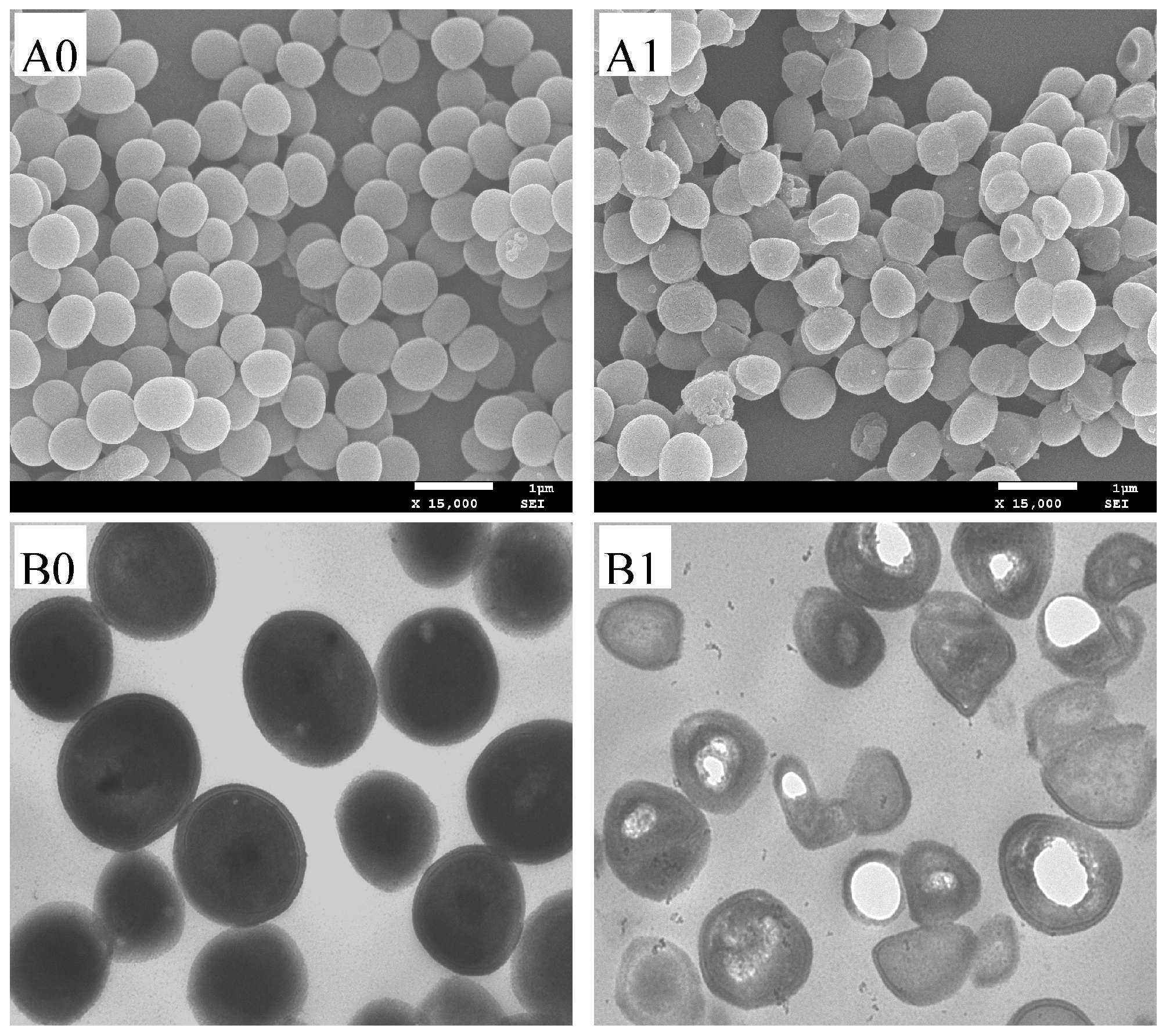 Molecules 21 01194 g003