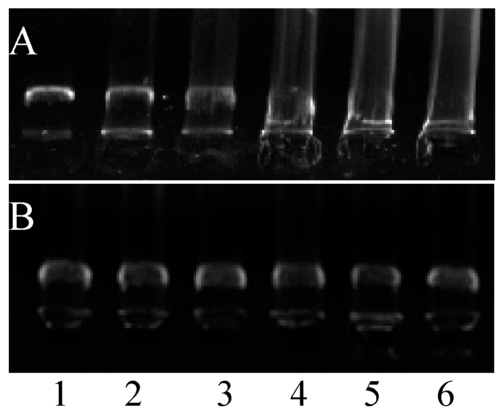 Molecules 21 01194 g005