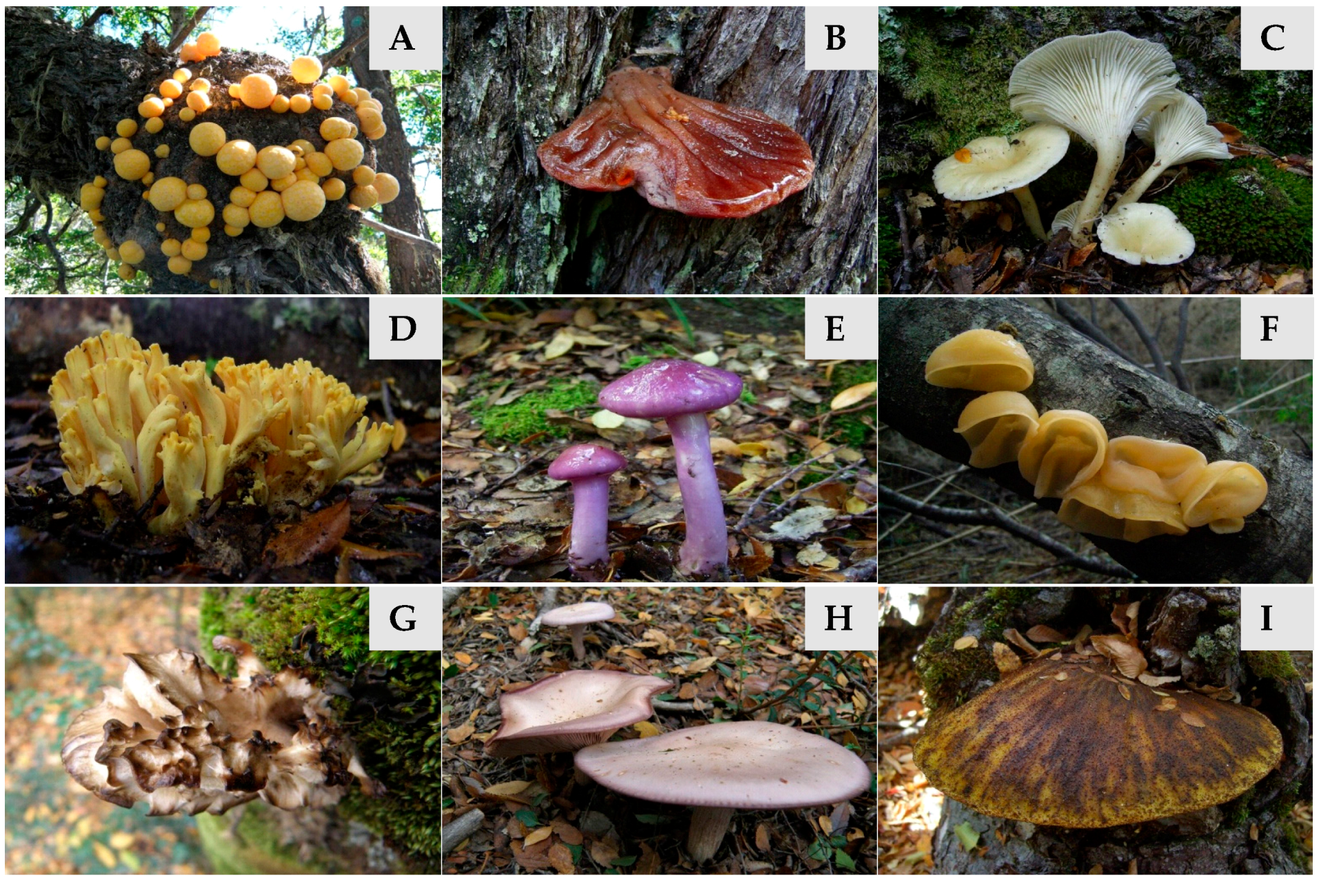 Molecules 21 01201 g001