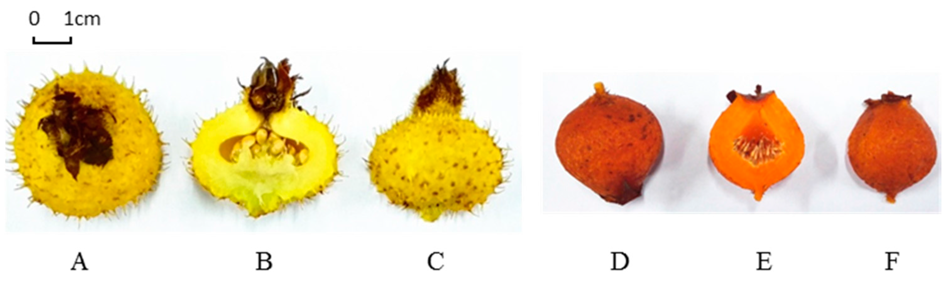 Molecules 21 01204 g001