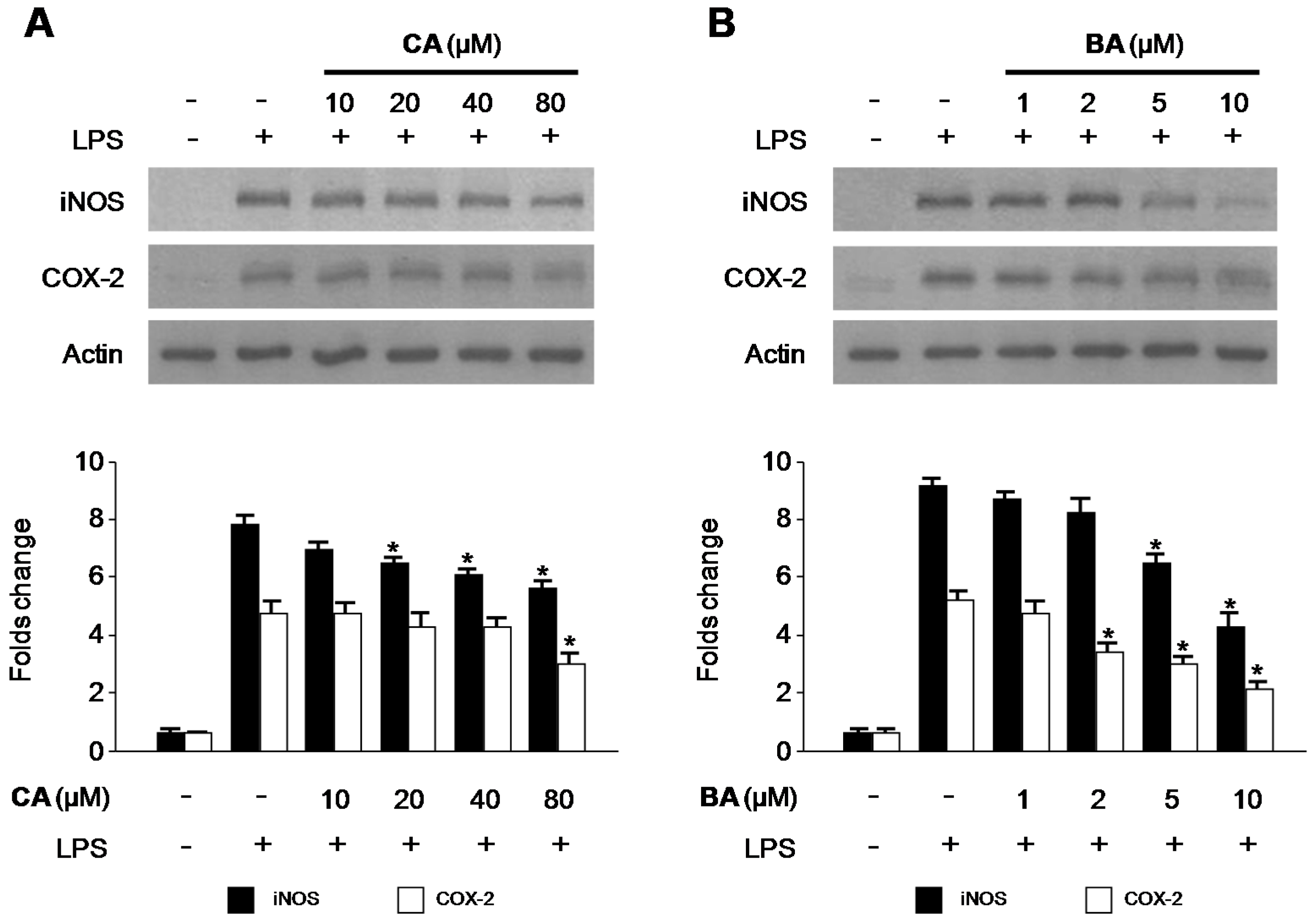 Molecules 21 01206 g005