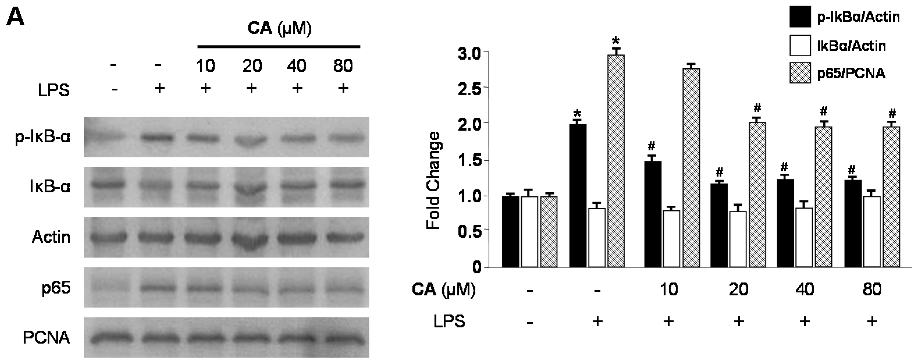Molecules 21 01206 g006a