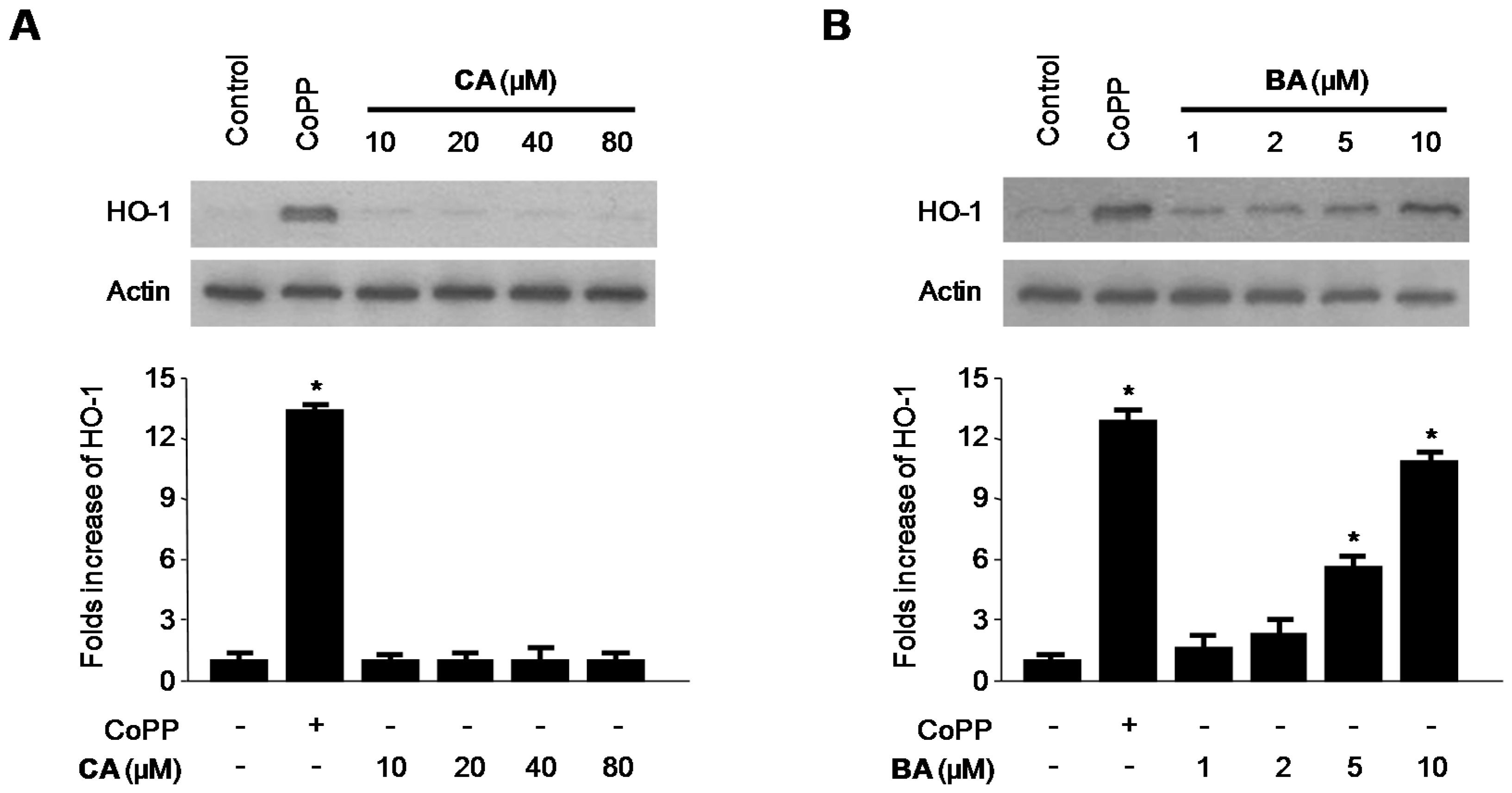 Molecules 21 01206 g007