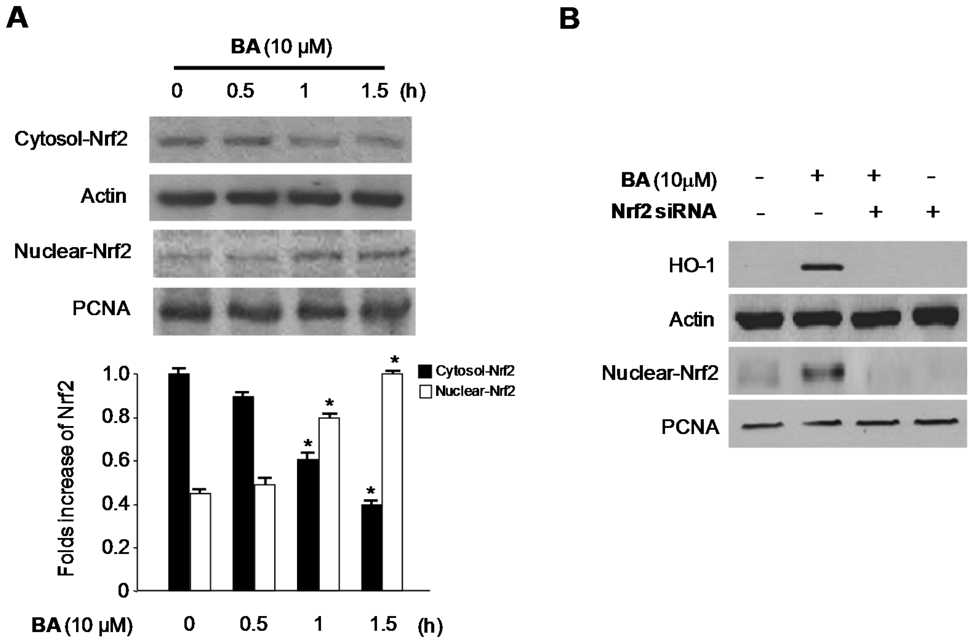 Molecules 21 01206 g008
