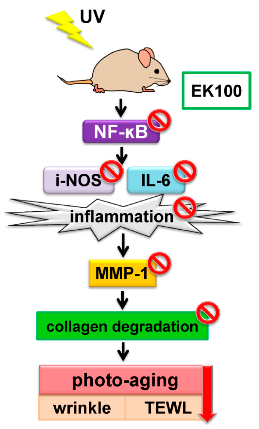 Molecules 21 01213 g008