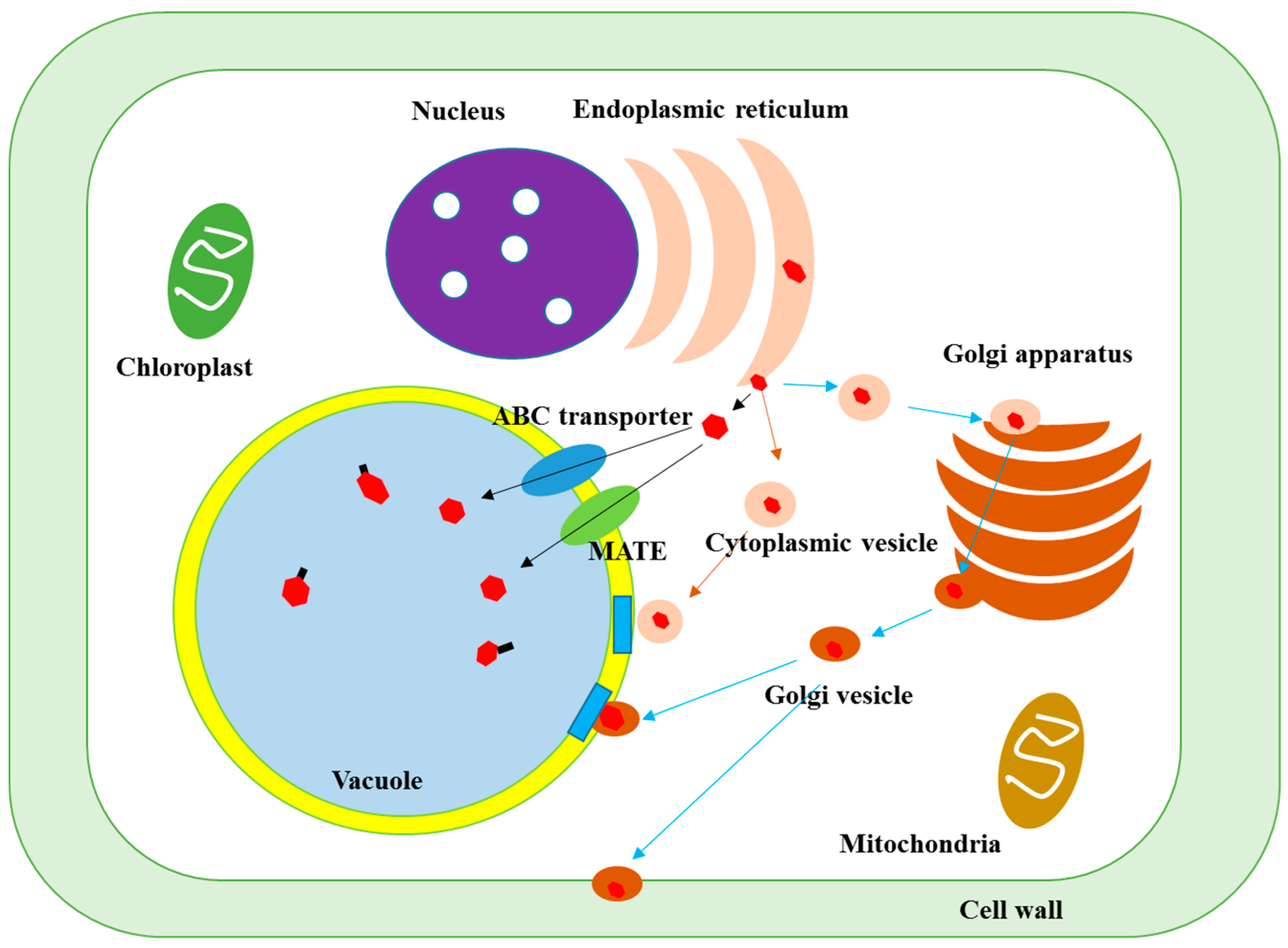 Molecules 21 01216 g003