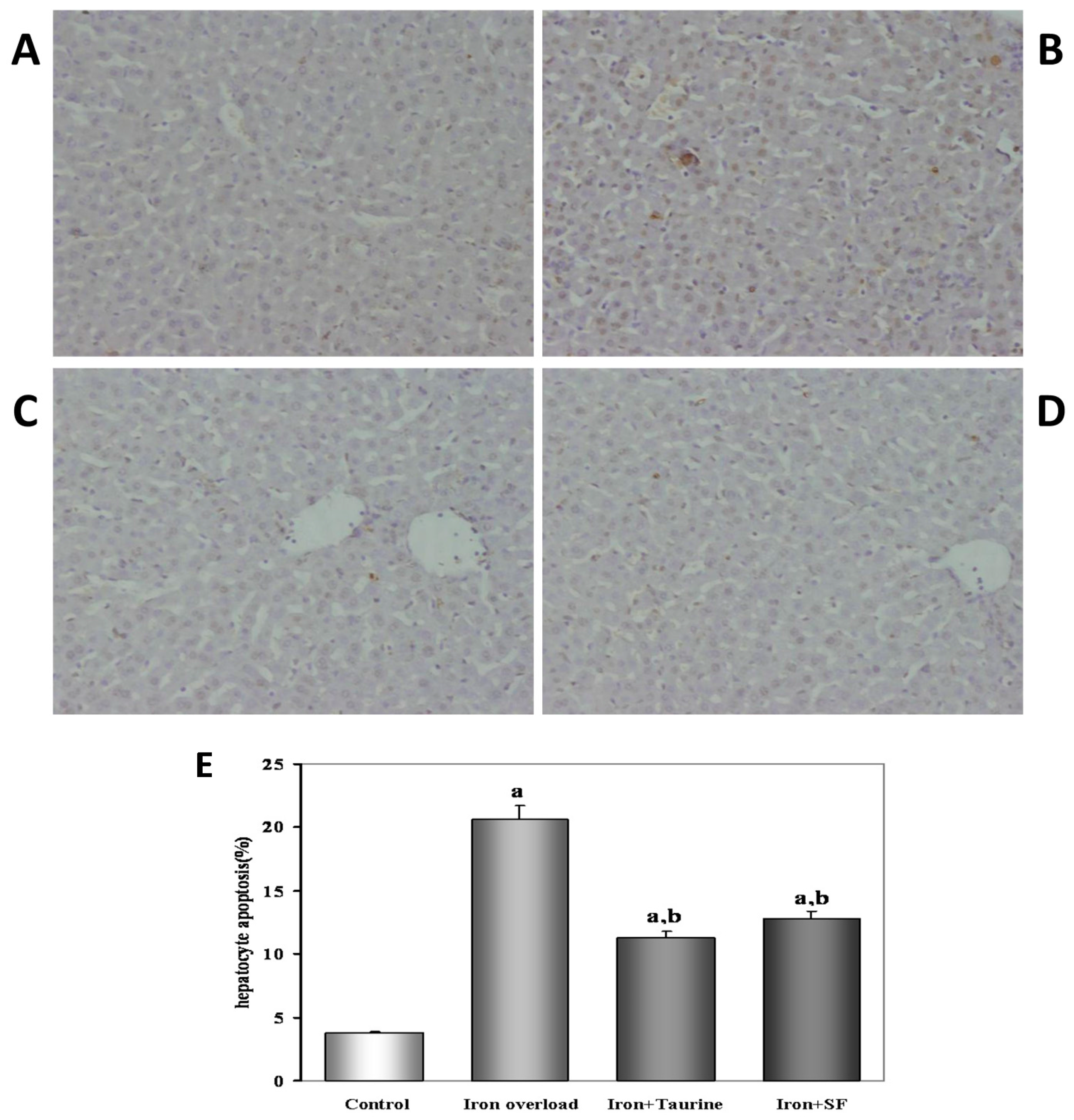 Molecules 21 01219 g001