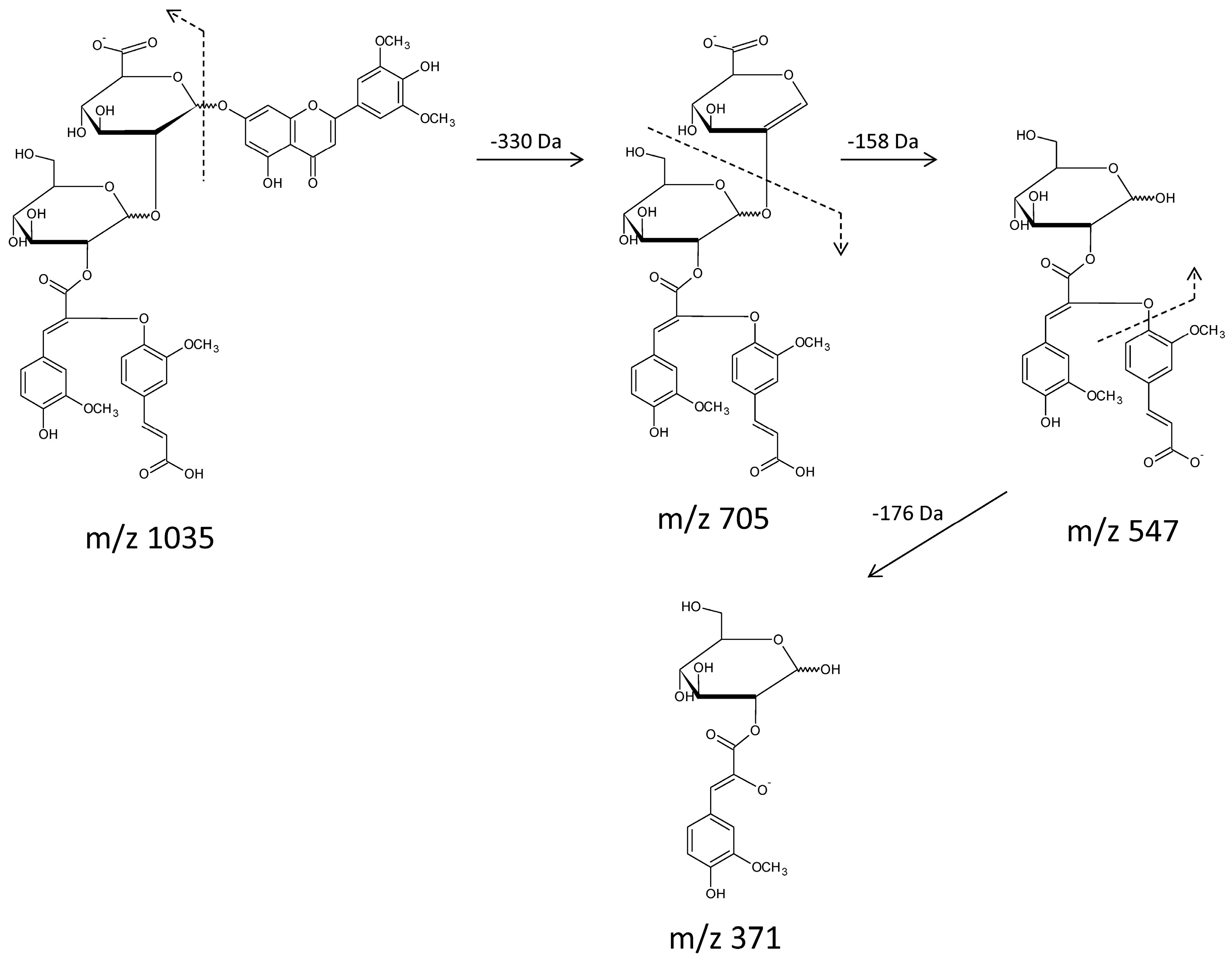 Molecules 21 01229 g005