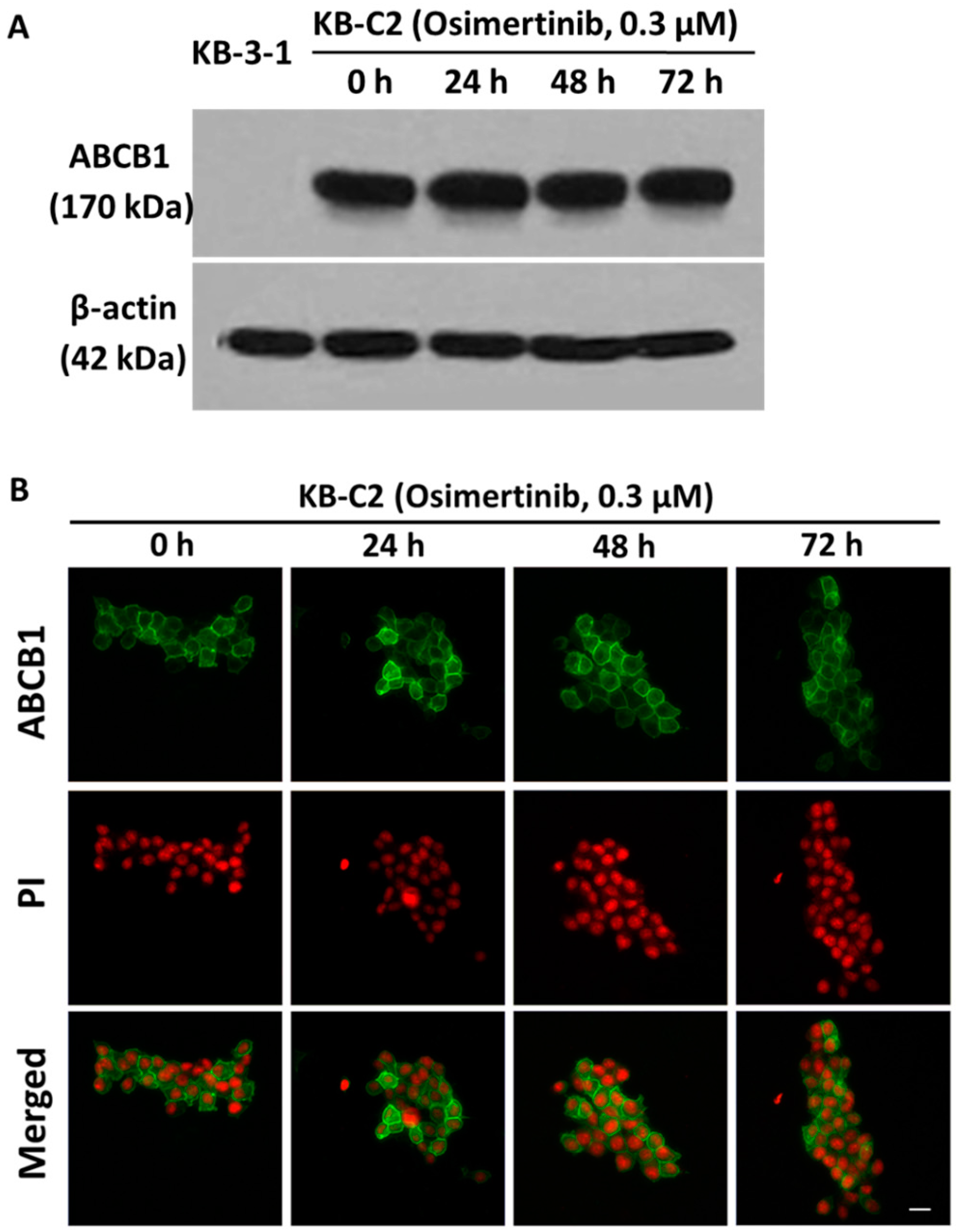 Molecules 21 01236 g003