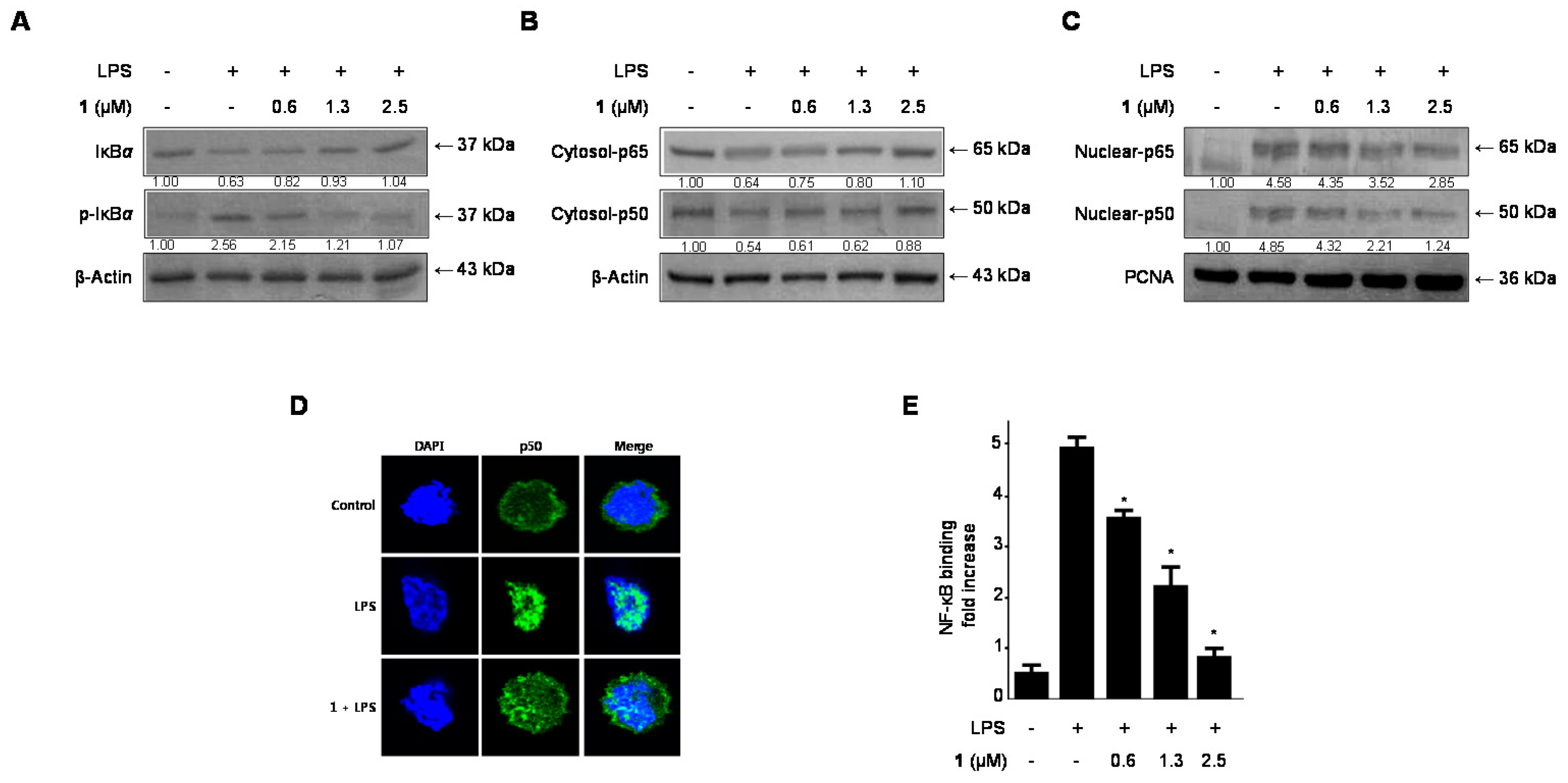 Molecules 21 01240 g005