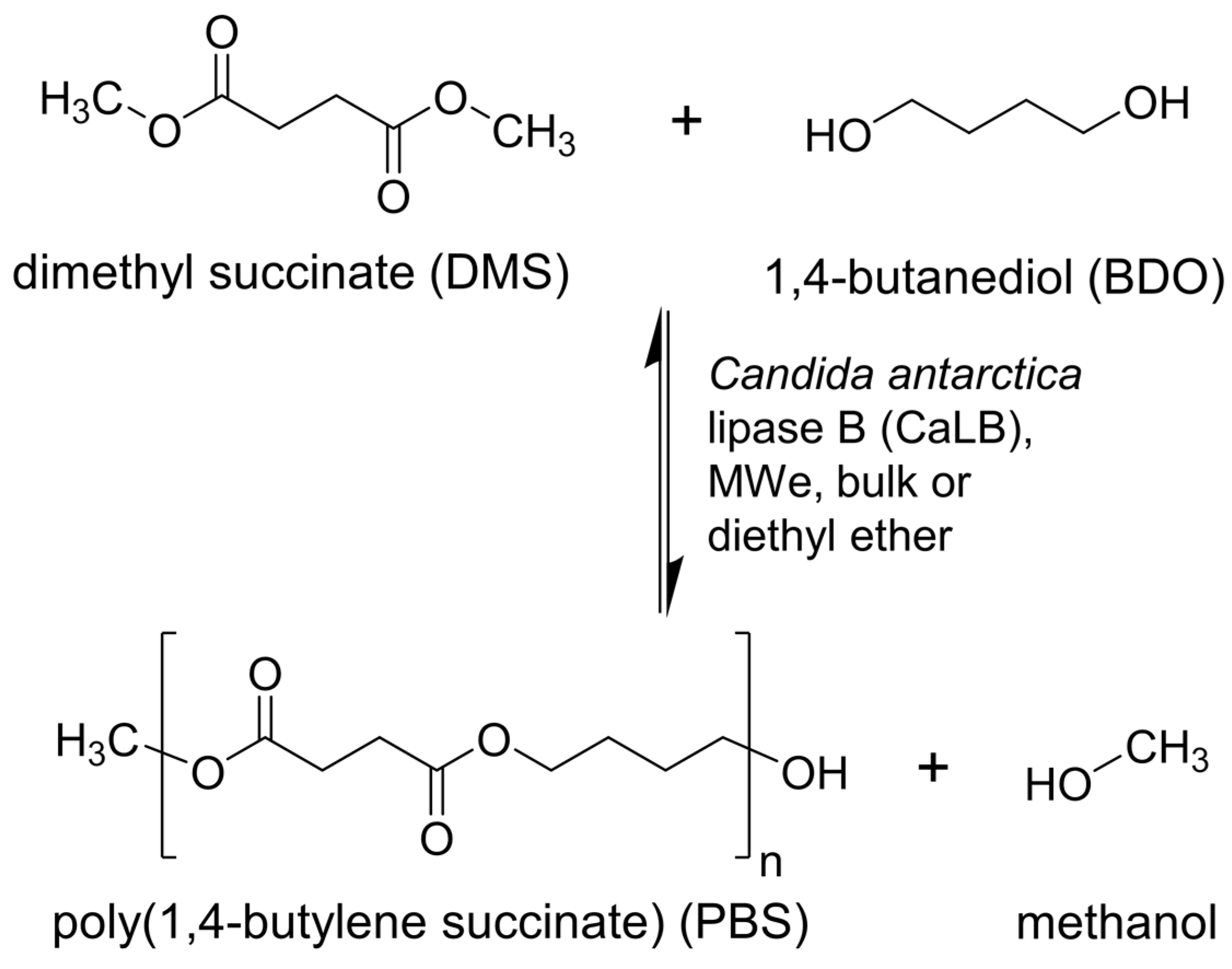 Molecules 21 01245 g002