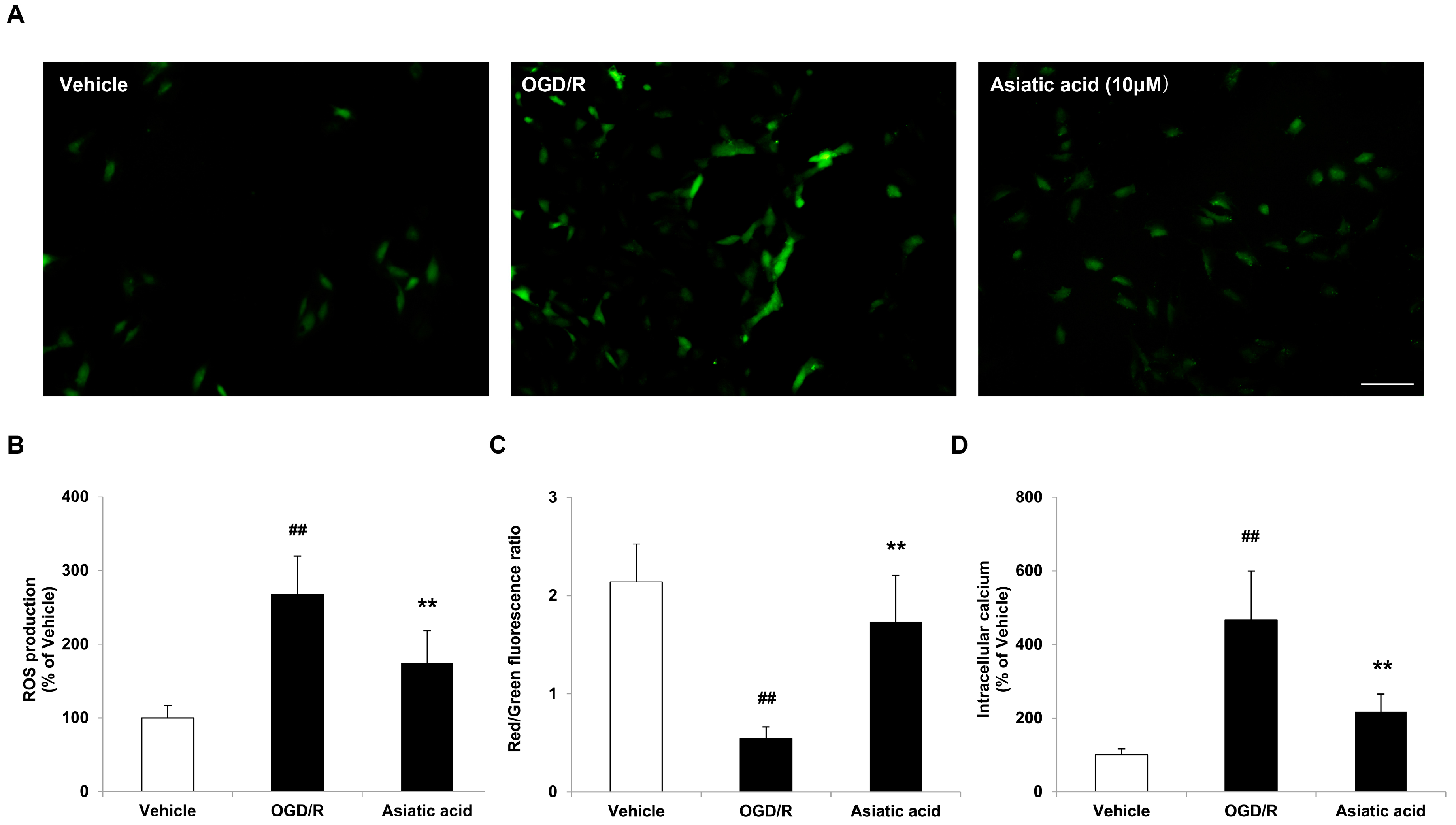 Molecules 21 01248 g003