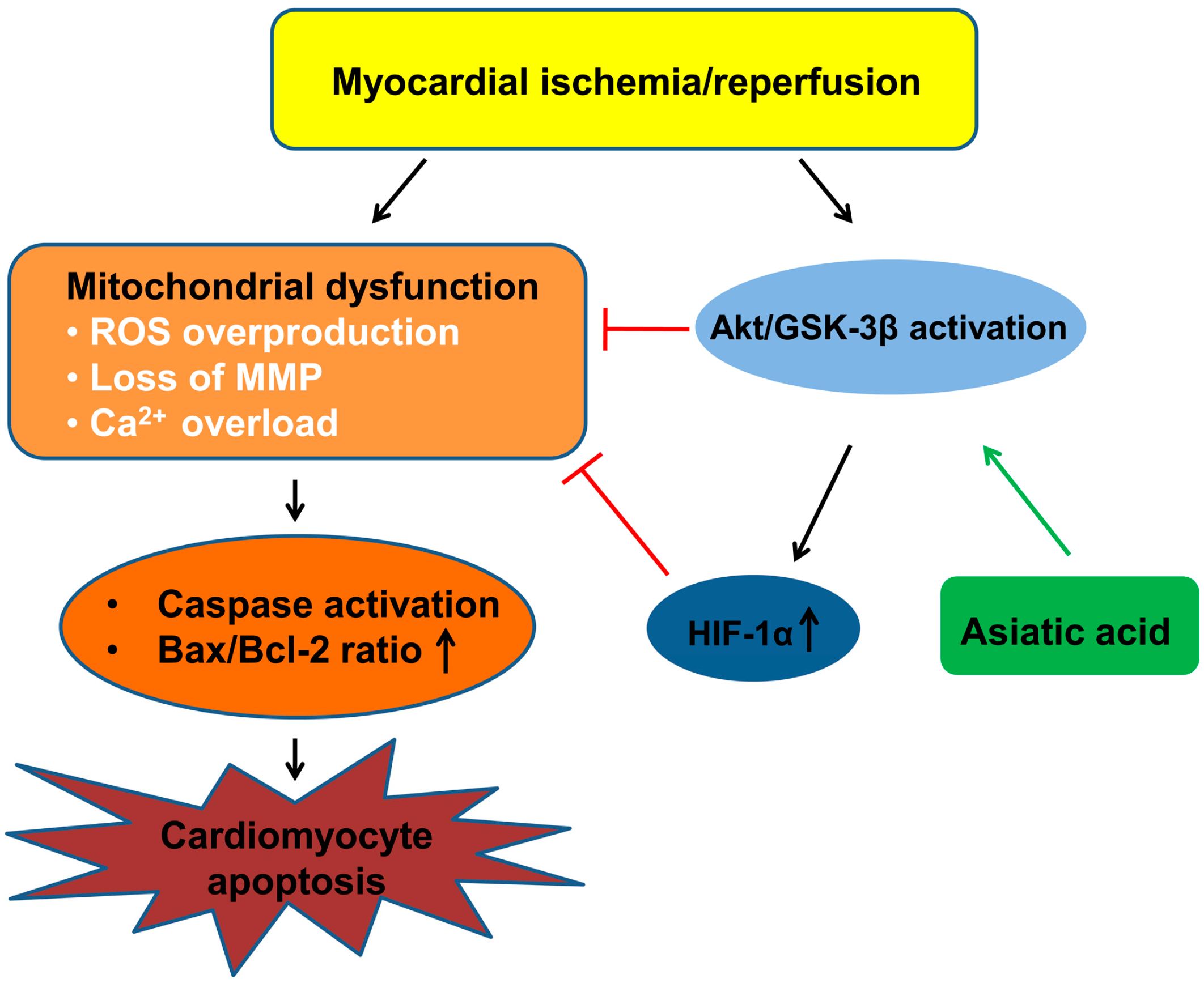 Molecules 21 01248 g006