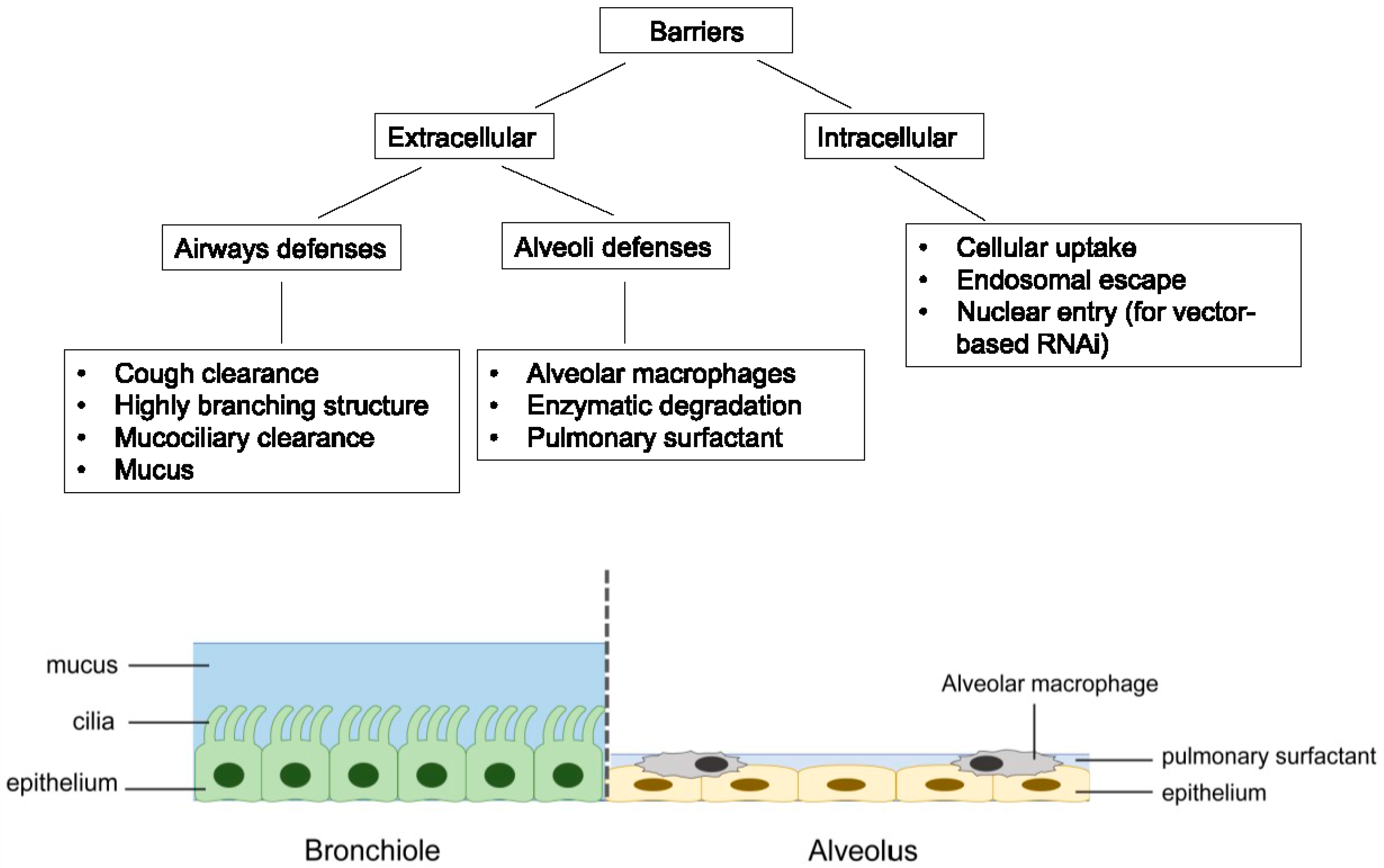 Molecules 21 01249 g002