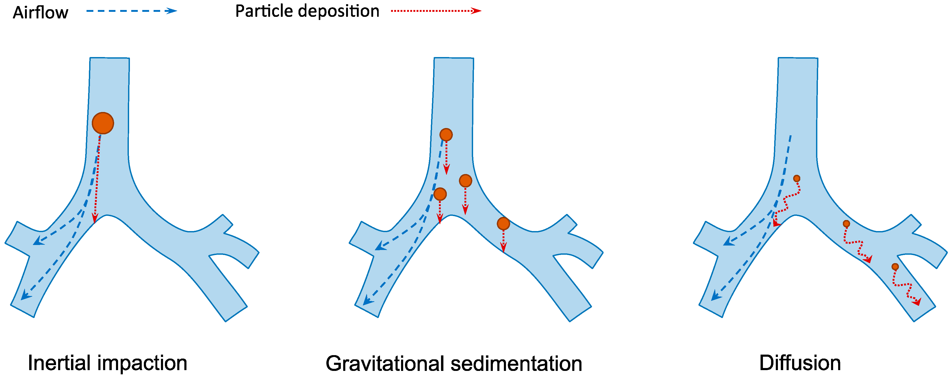 Molecules 21 01249 g003