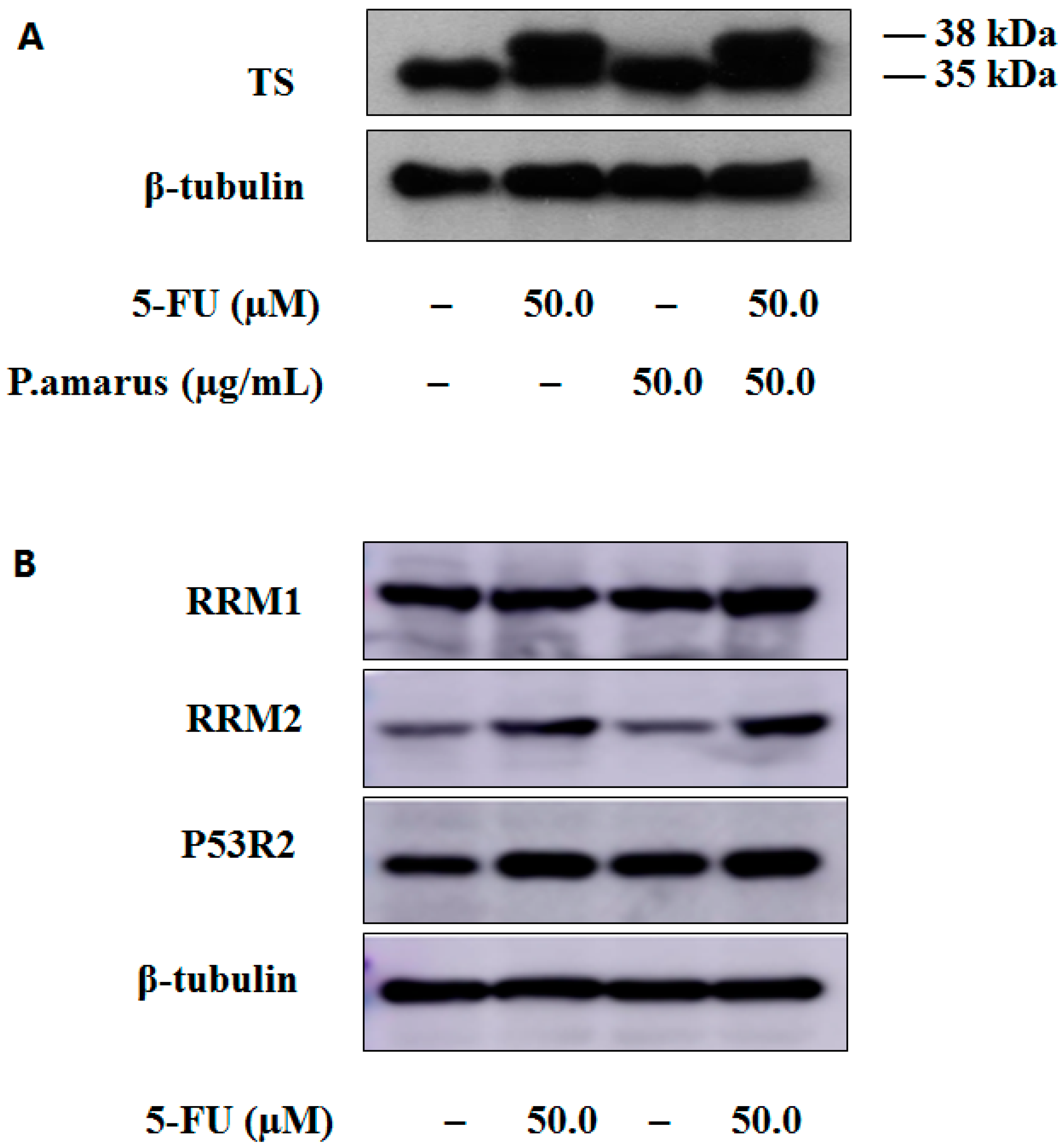 Molecules 21 01254 g005