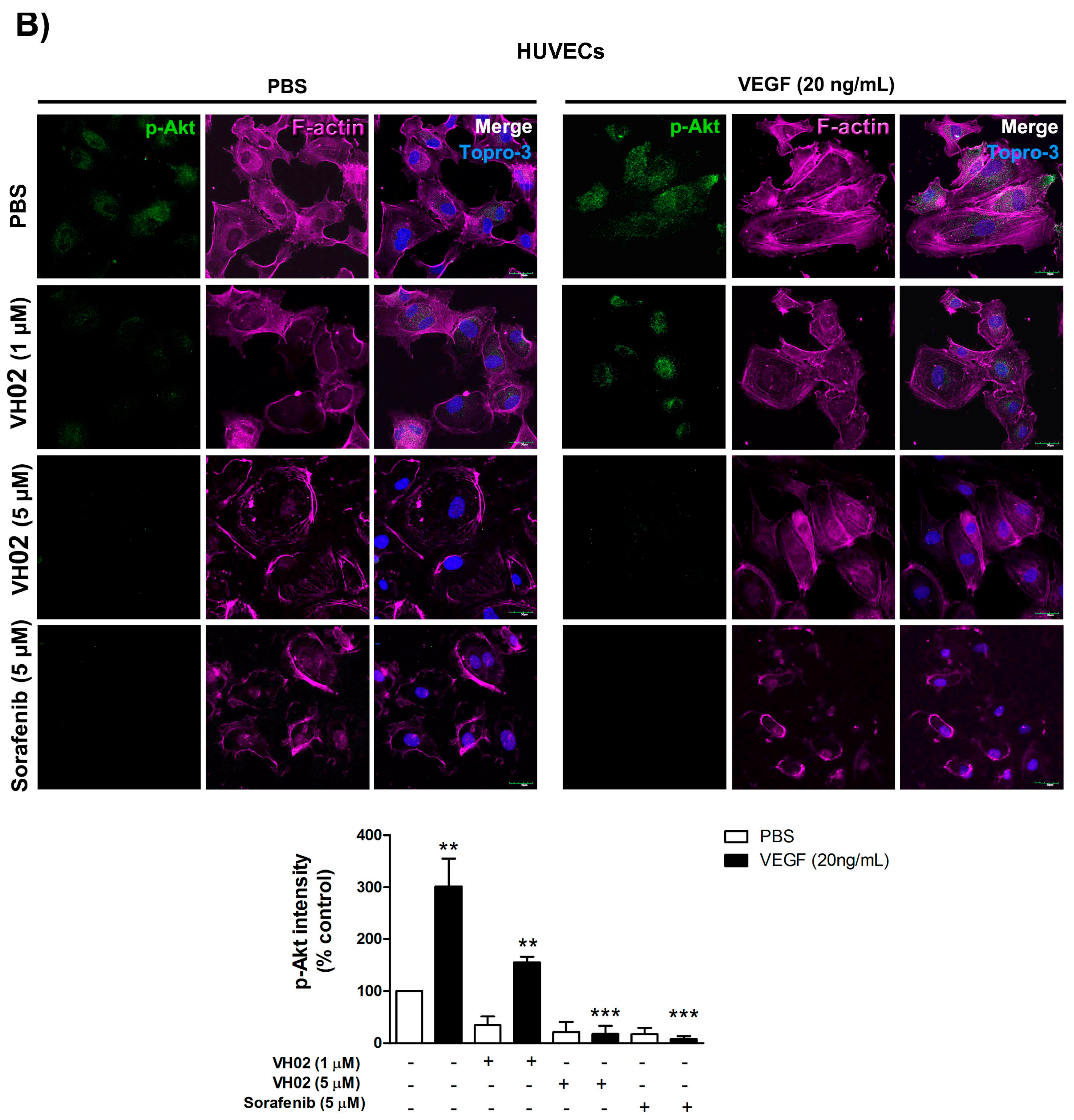 Molecules 21 01258 g006b