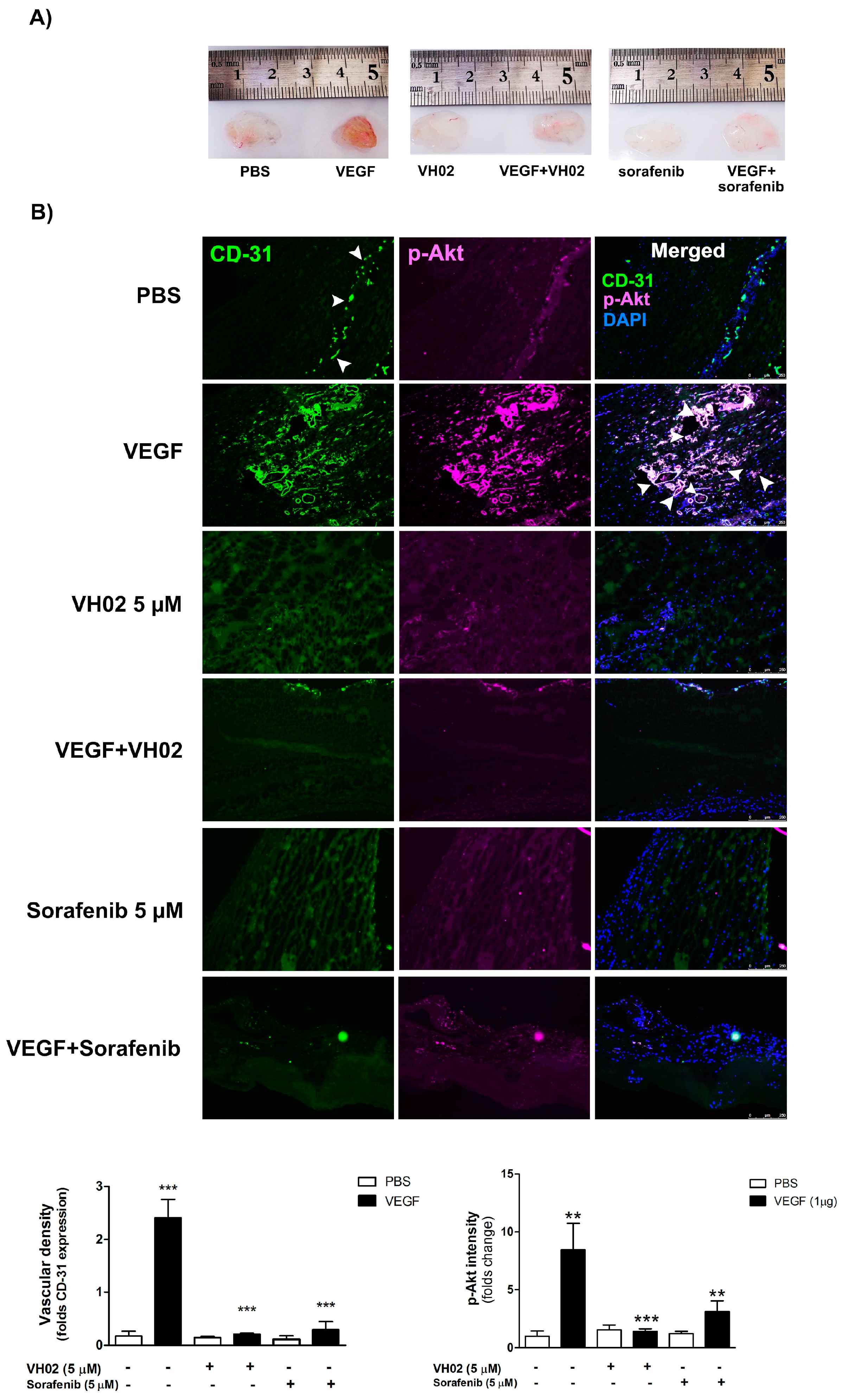 Molecules 21 01258 g007a