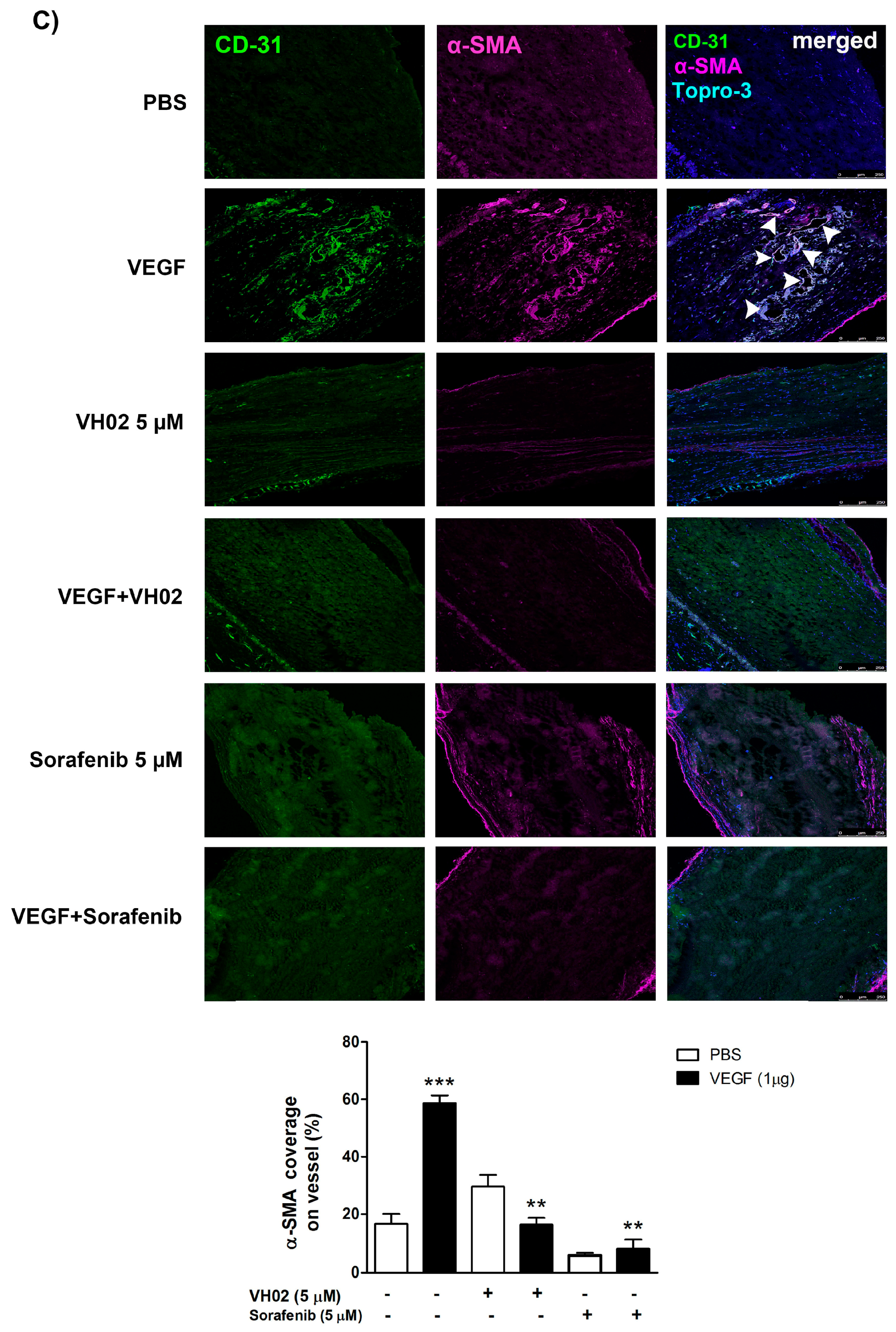 Molecules 21 01258 g007b