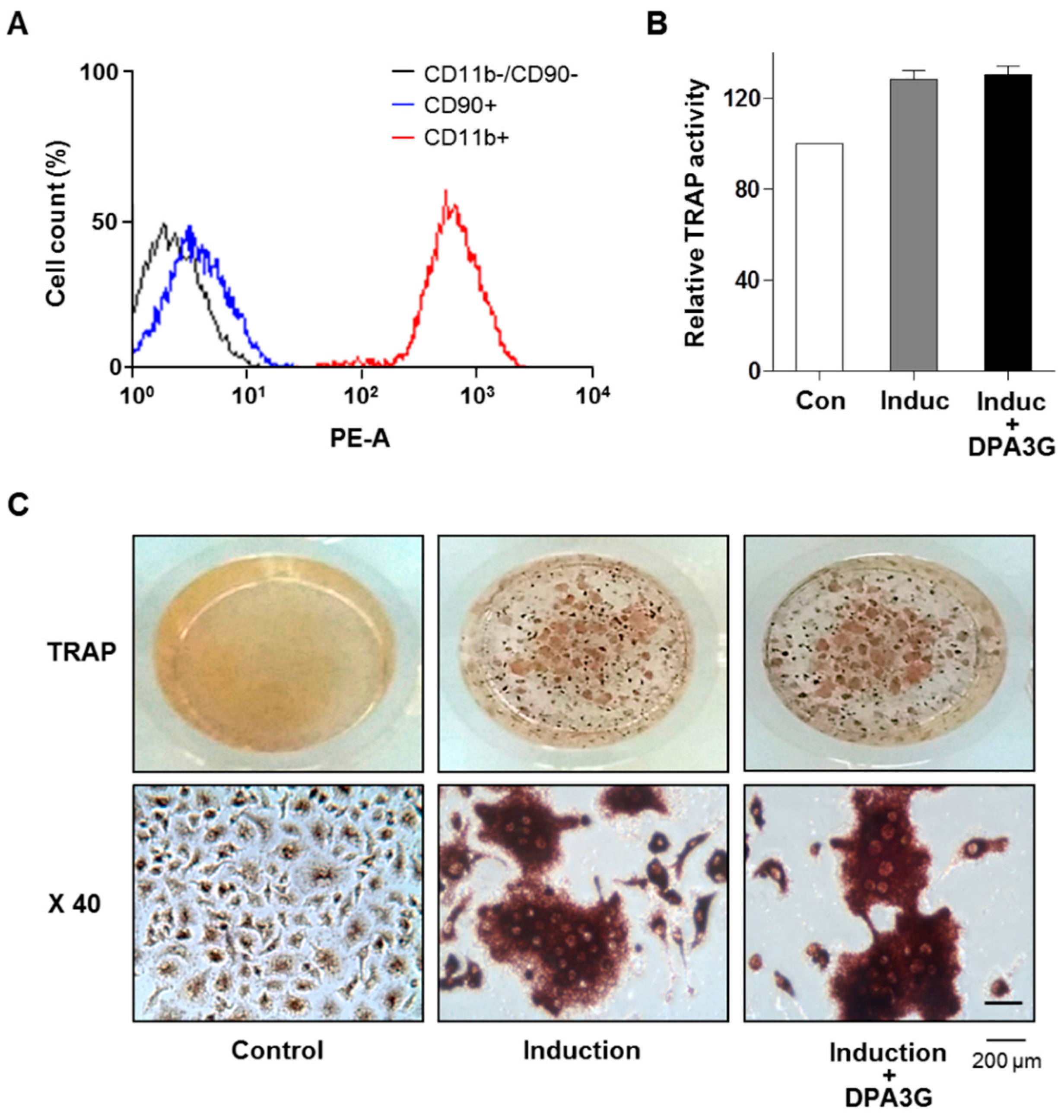 Molecules 21 01260 g004