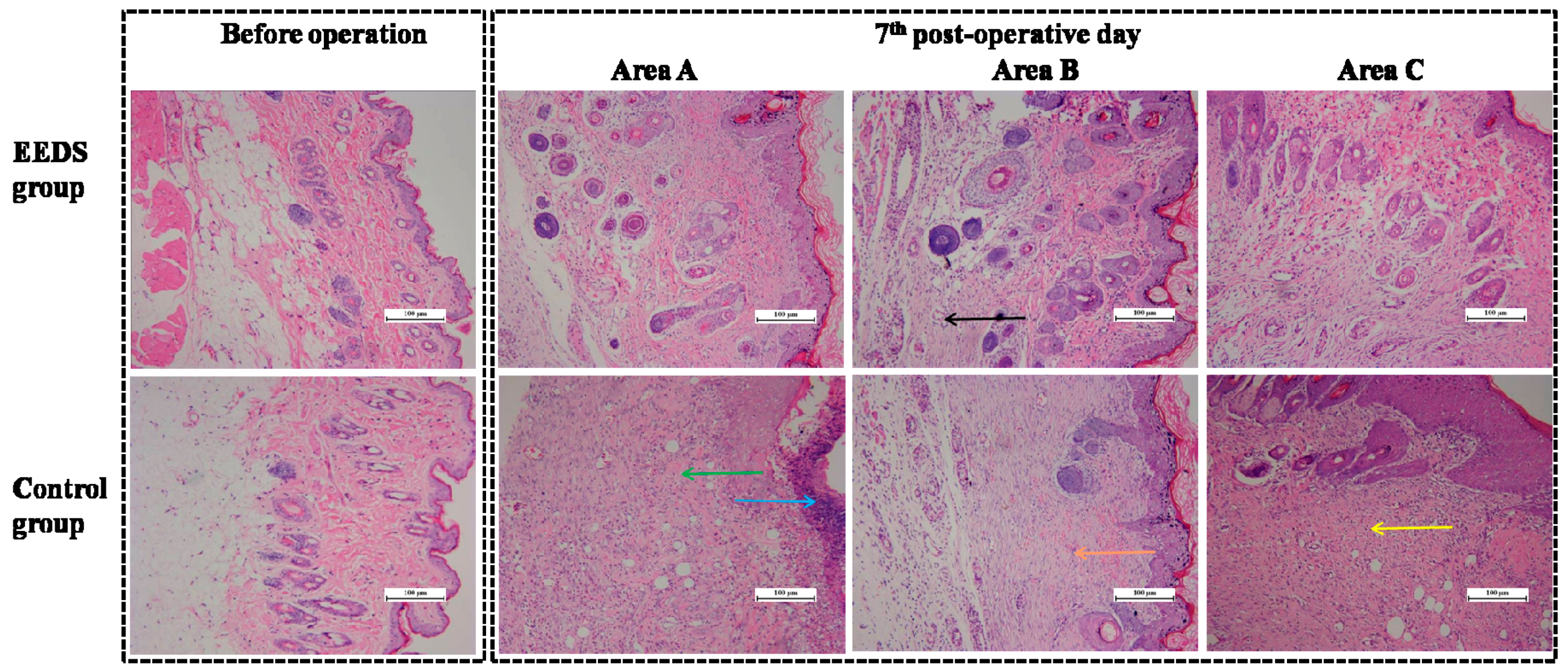 Molecules 21 01262 g003