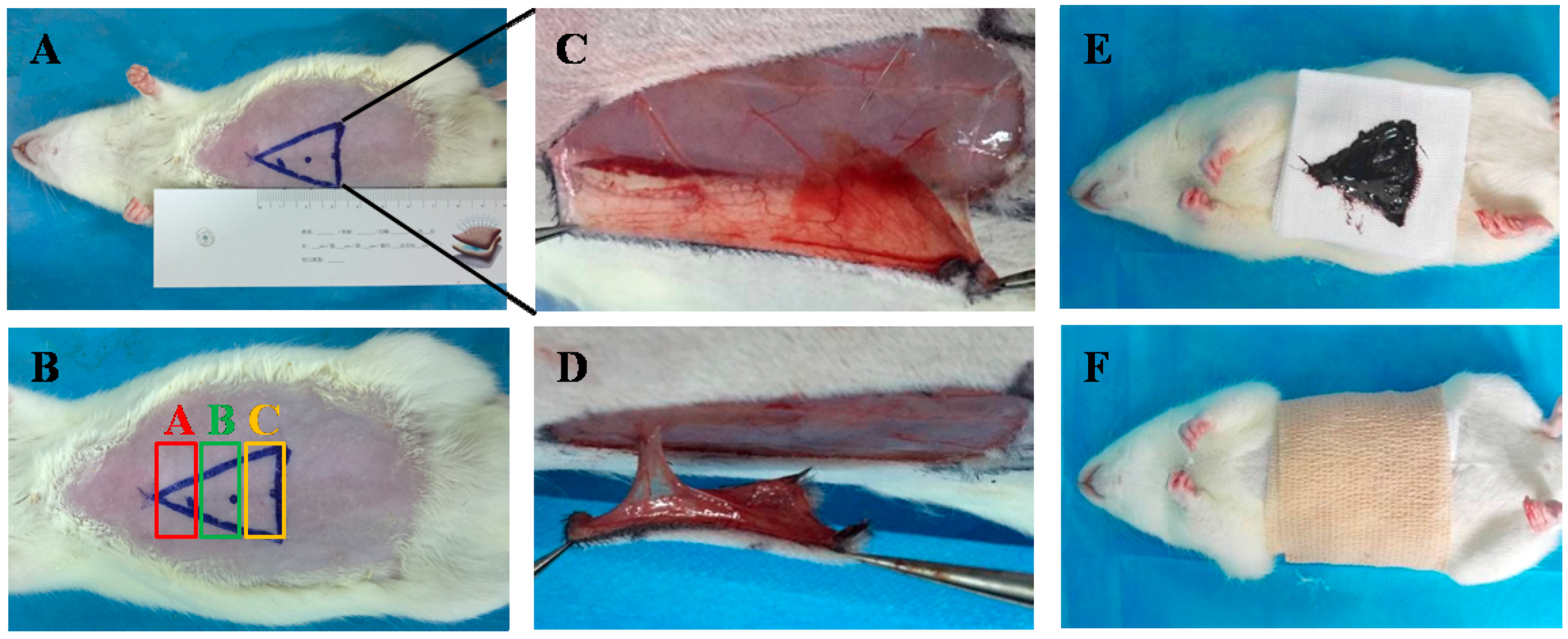 Molecules 21 01262 g007