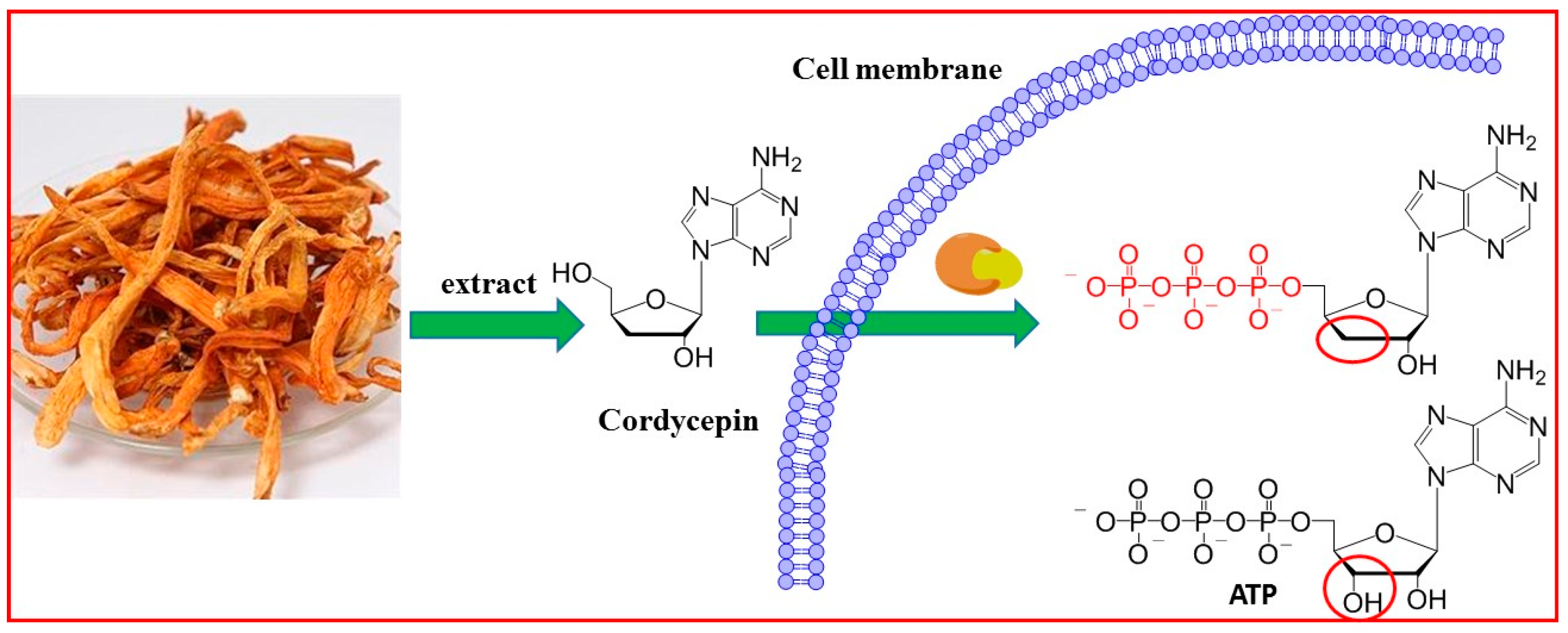 Molecules 21 01267 g001
