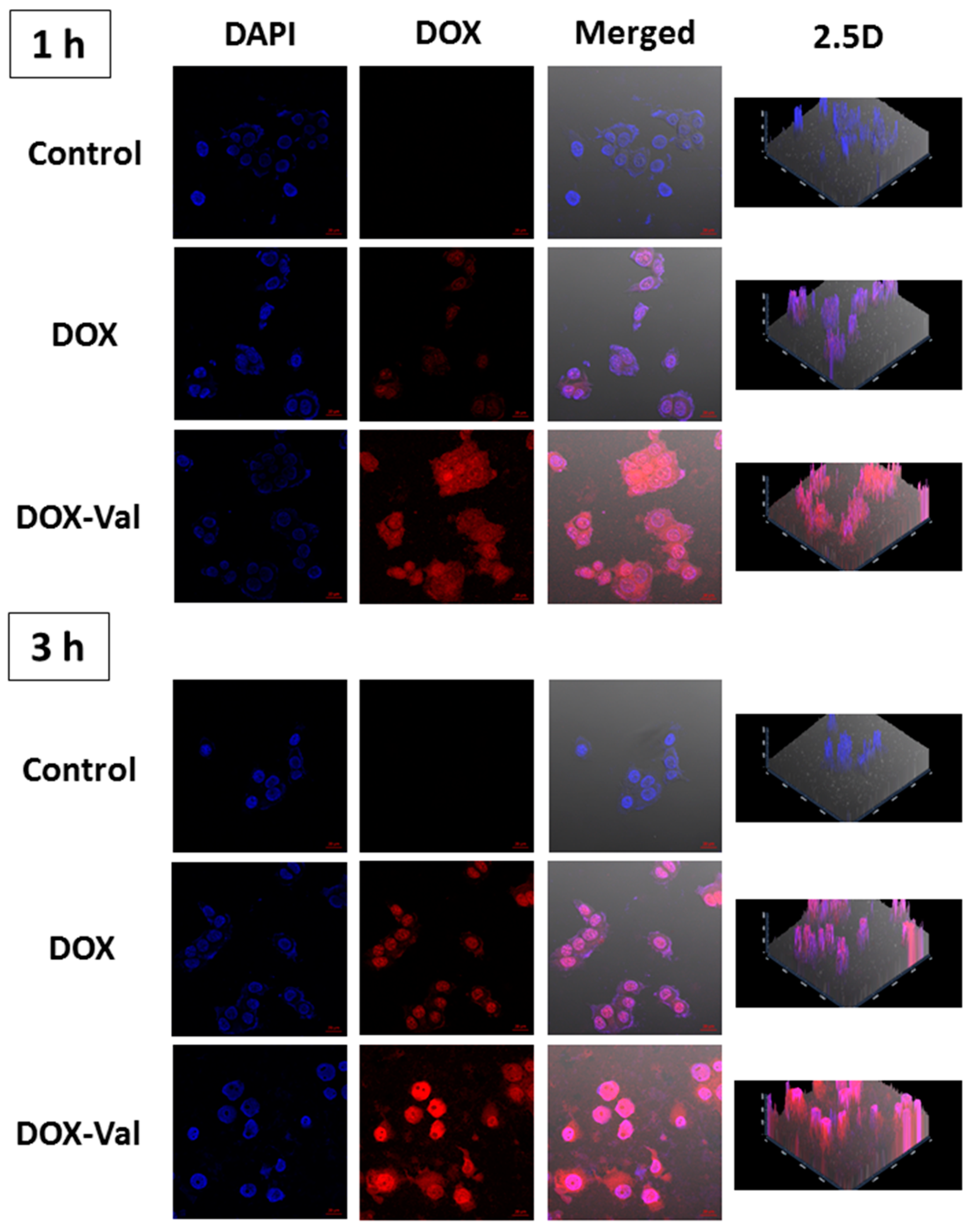 Molecules 21 01272 g003