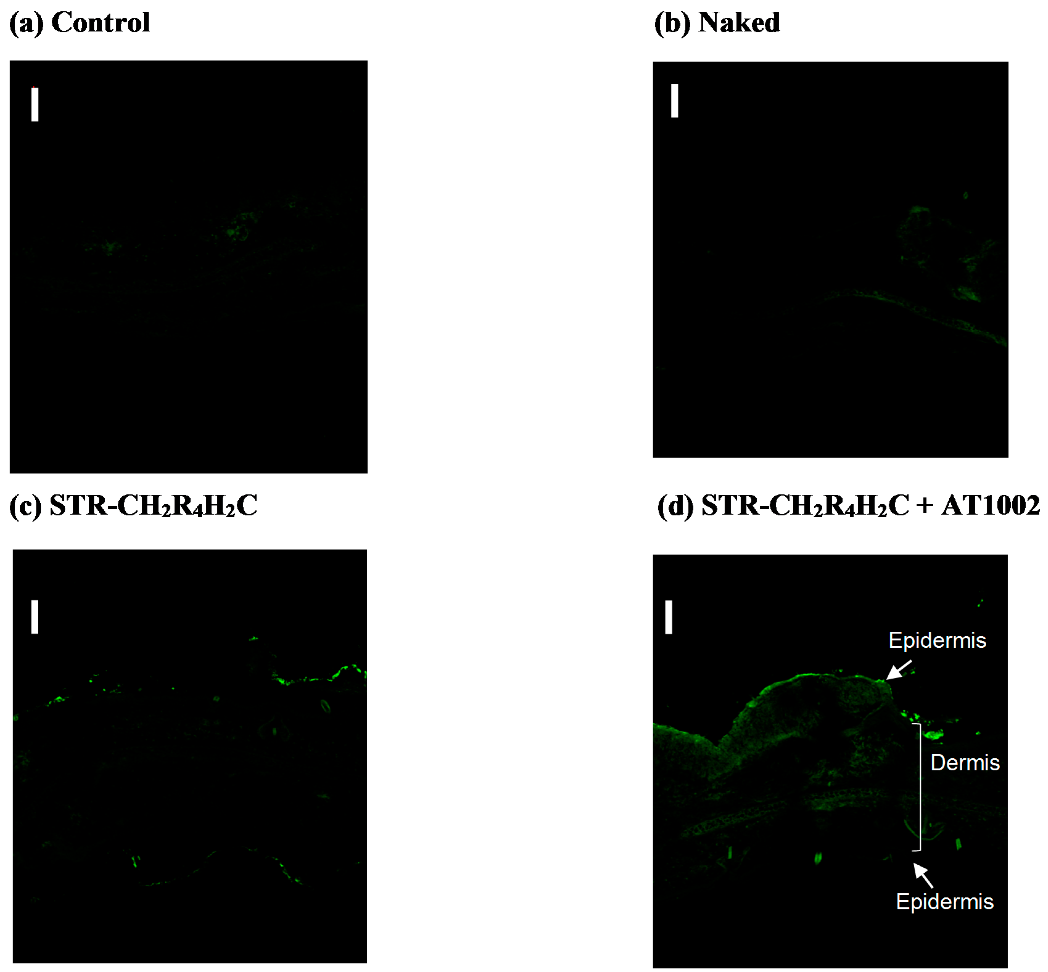 Molecules 21 01279 g003