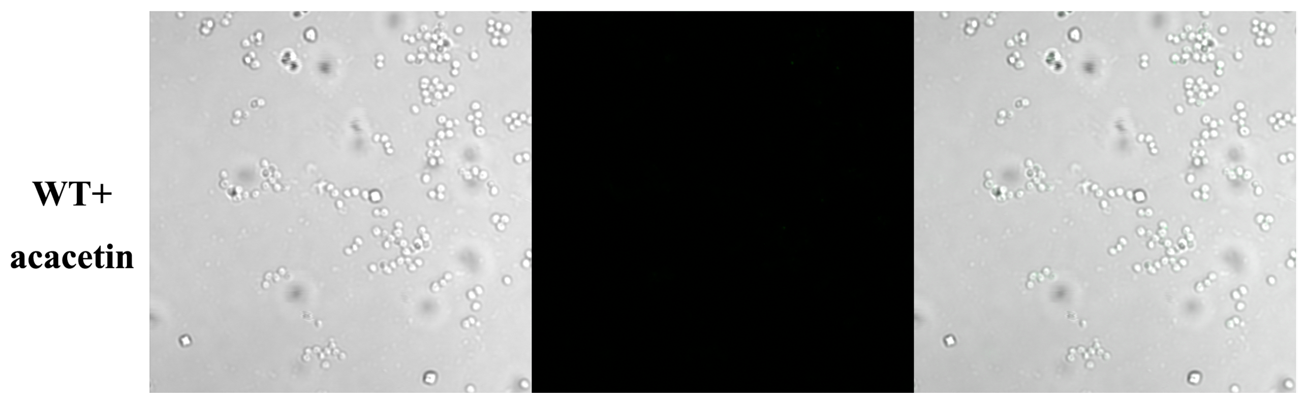 Molecules 21 01285 g002b