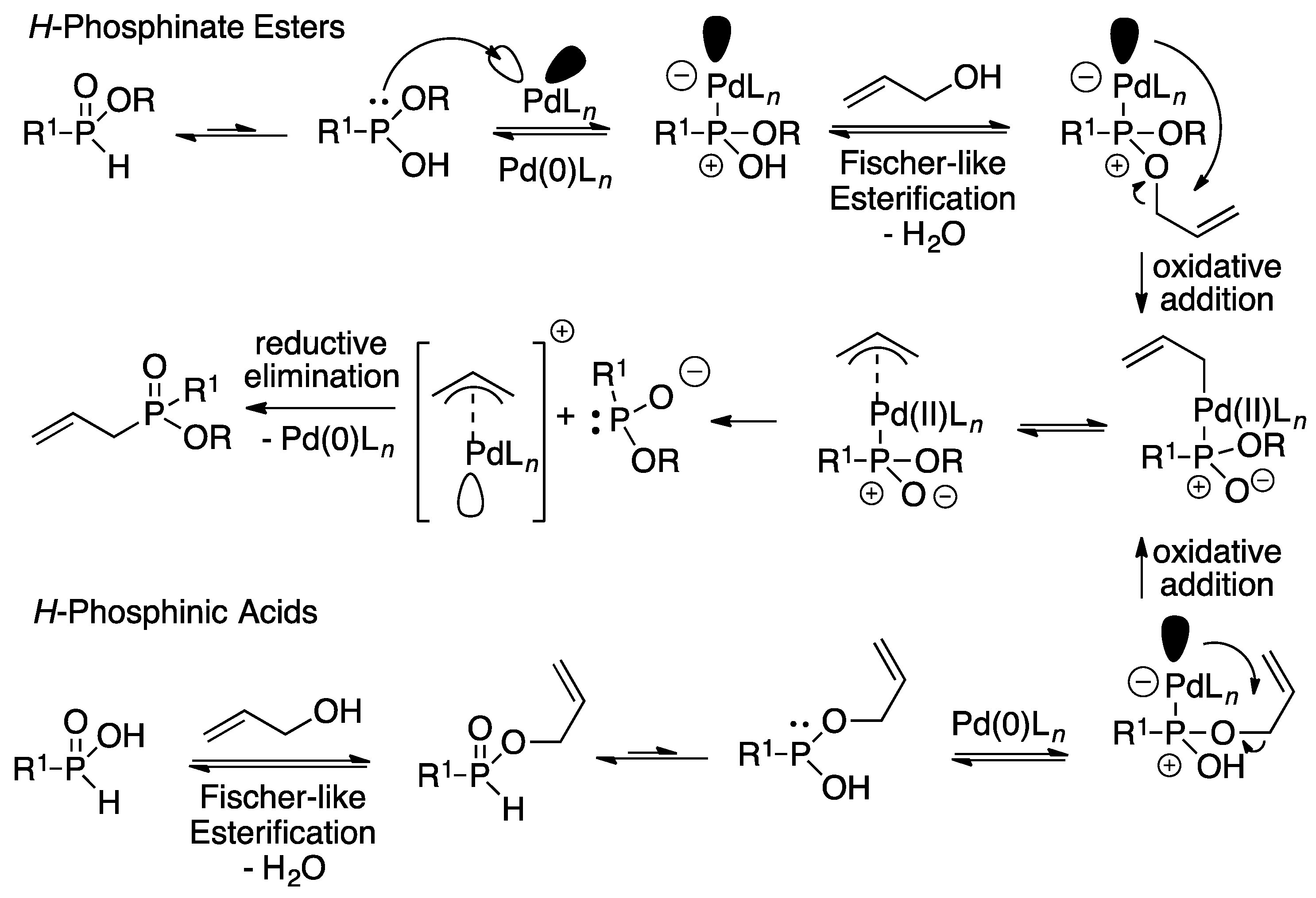 Molecules 21 01295 sch005